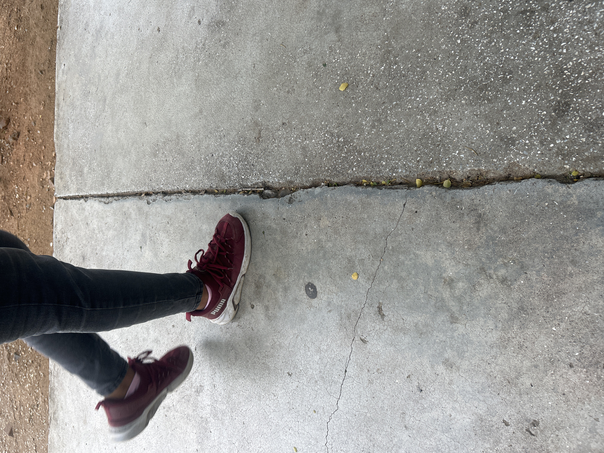 A person wearing dark jeans and maroon Puma sneakers is walking on a concrete path. The path is cracked and appears weathered. A distinct line divides the path into two sections, with a slight crack or gap running along it, showing some debris and small green pods. In the background, there is a patch of dry, sandy ground with some small rocks. The lighting suggests it is daytime. The image is taken from a slightly elevated perspective, focusing on the lower legs and feet of the individual. This scene is located in the city of Santa Ana, Venezuela.
