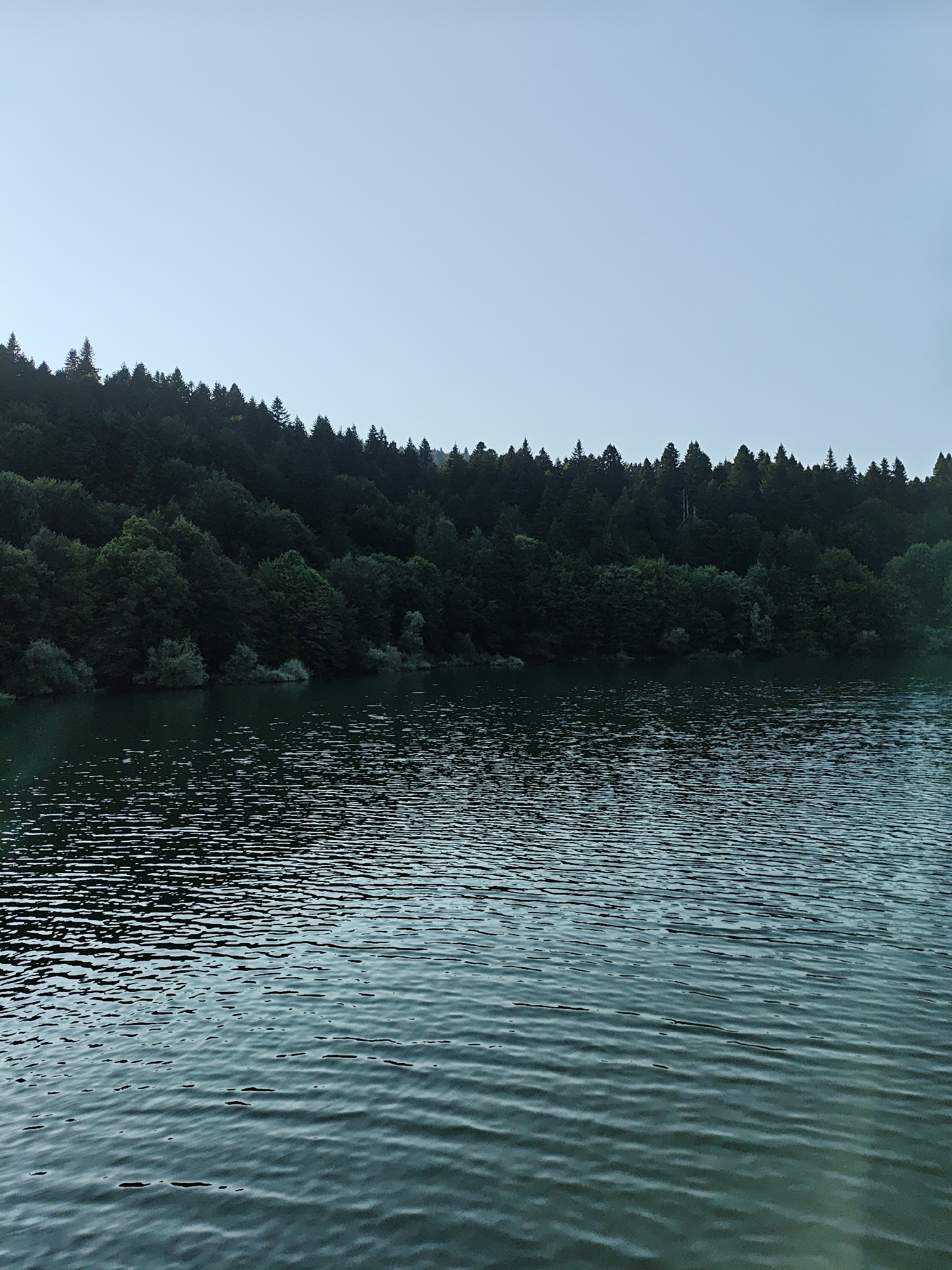This is a vertical, eye-level, medium shot of a body of water with a forest in the background, likely in Kharistvala, Georgia. The sky is a pale, overcast blue and takes up the top third of the image. Below the sky is a dense, dark green forest that lines the shore of the water. The trees are a mix of deciduous and coniferous, with the taller evergreen trees forming a jagged line against the sky. The forest appears to be on a slight incline. The bottom two-thirds of the image is the dark, greenish-blue water, which is rippled by a gentle breeze. The ripples create a textured surface with highlights and shadows. There are no people or man-made objects visible in the scene.