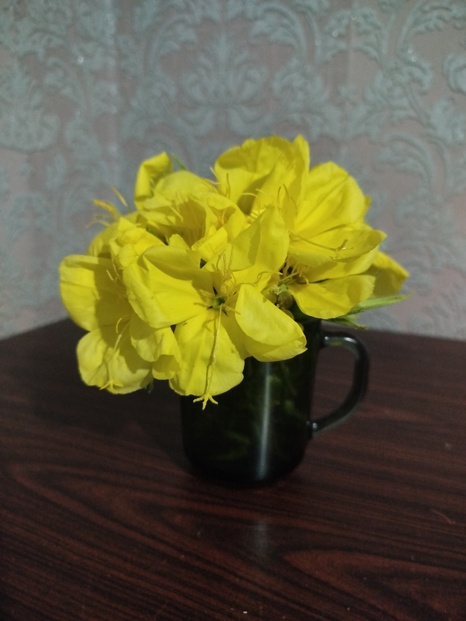 A close-up, eye-level shot features a bouquet of bright yellow flowers in a dark green mug. The flowers, with their delicate petals and prominent stamens, fill the top portion of the frame. The mug, with a visible handle, sits on a dark brown wooden surface that exhibits a wood grain pattern. Behind the mug, the wall is adorned with a pale grey patterned wallpaper. The lighting casts shadows from the flowers and mug onto the wooden surface, indicating a light source from the upper left. The image is composed in a vertical orientation.