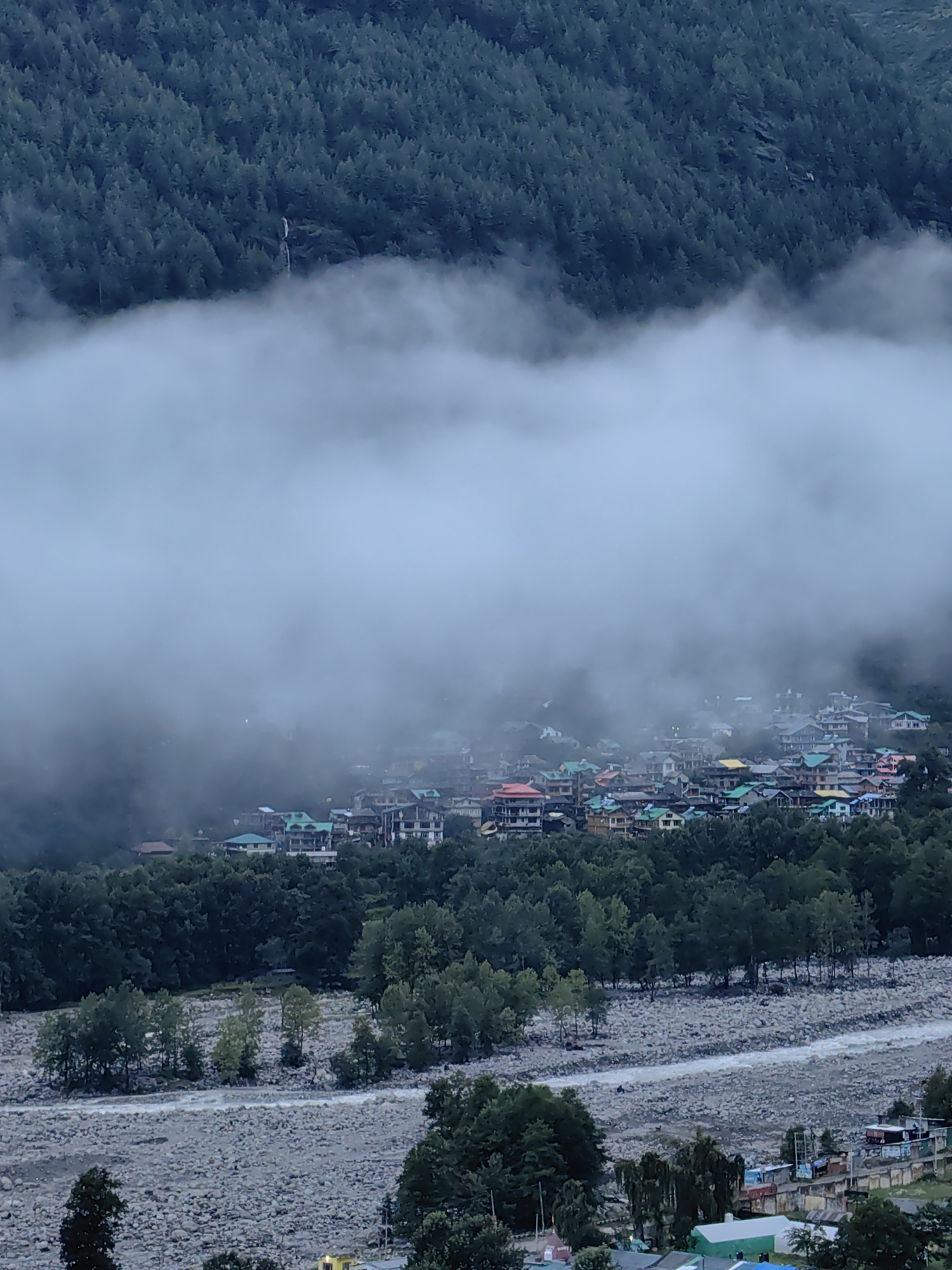 This is a telephoto, vertical, eye-level, medium shot of the town of Vashisht, India, nestled amongst dense evergreen trees on a mountainside. A riverbed with scattered rocks and a flowing stream runs through the lower portion of the frame, with a road visible in the lower right corner. Buildings with colorful roofs are clustered on the slope above the trees, partially obscured by a thick layer of fog or clouds. The upper portion of the image is dominated by a steep, tree-covered mountainside, with a thin waterfall visible partway up the slope. The lighting is subdued, suggesting overcast conditions or early morning/late evening.