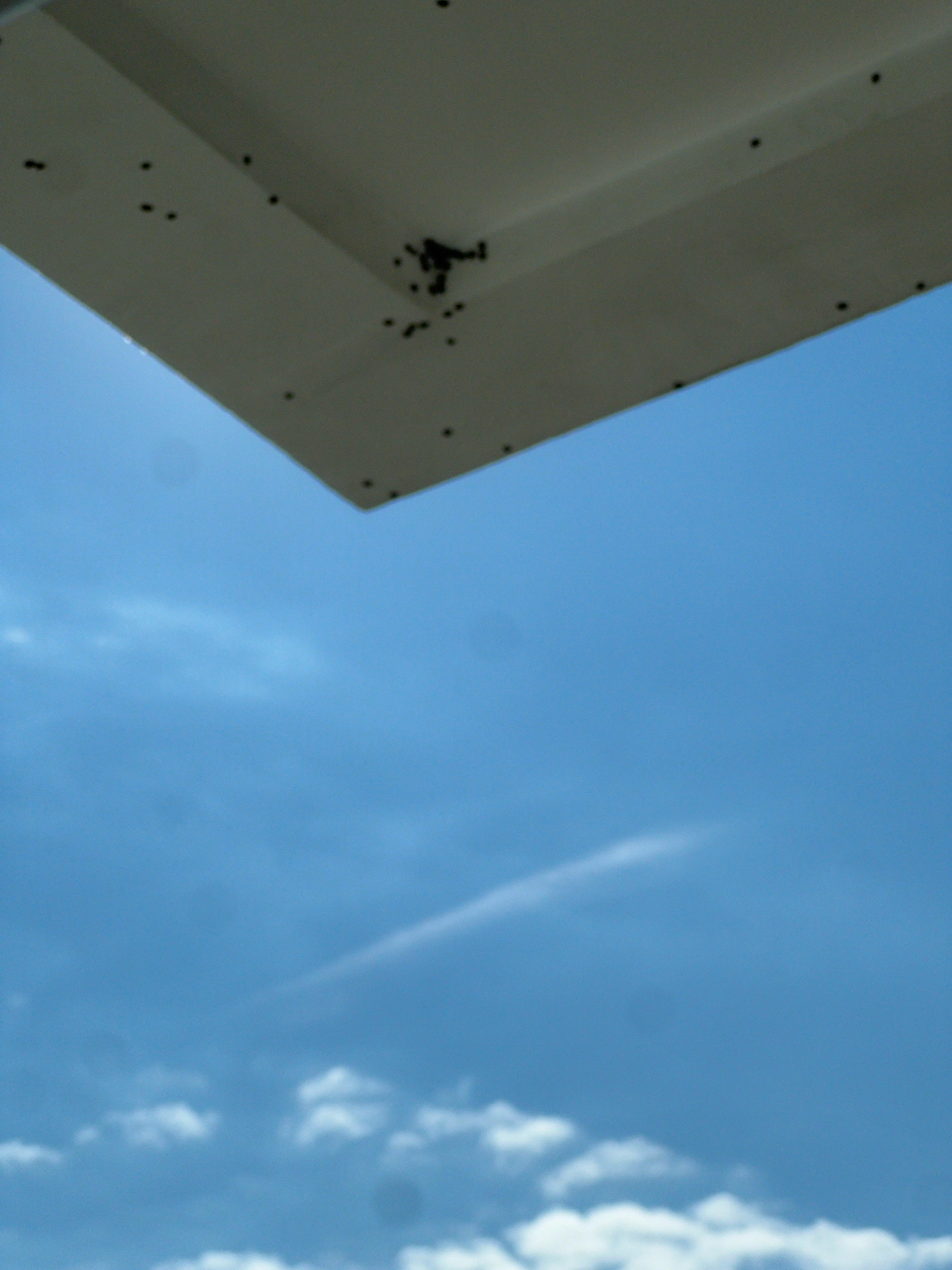 The image shows an underside view of a light-colored structure, possibly a roof or canopy, against a clear blue sky with scattered clouds. The structure has several small, dark, irregular spots on its surface, which appear to be insects. The sky is bright, suggesting daylight. The scene is devoid of any identifiable landmarks that would pinpoint its location in the city of Krasnoyarsk, Russia.