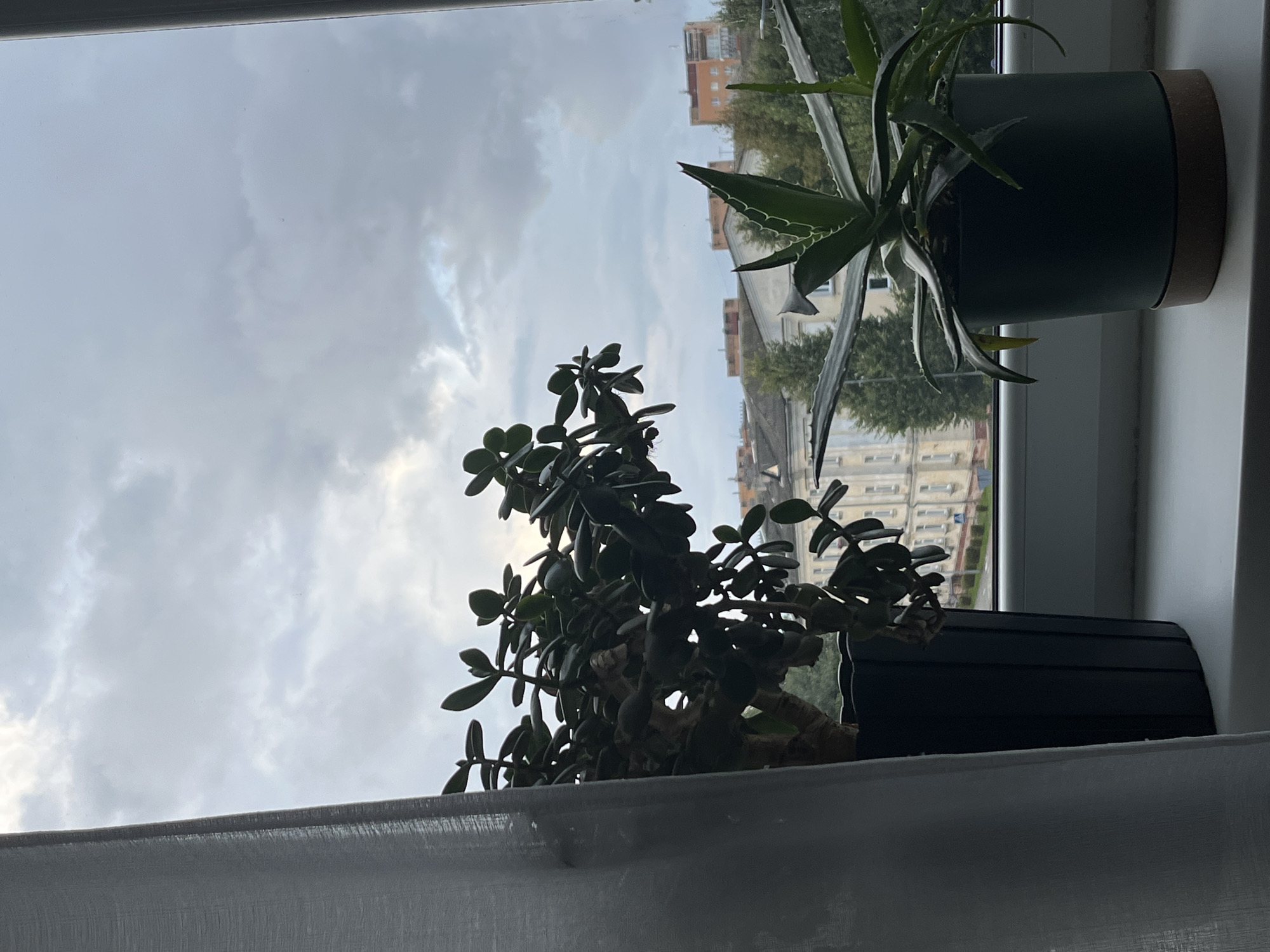 The image captures a view from a window in Kohtla-Järve linn, Estonia. In the foreground, two potted plants, a jade plant and an aloe vera, sit on a windowsill. A sheer white curtain drapes down the left side of the frame. Beyond the plants, the sky is overcast with dramatic clouds. In the middle ground, a few buildings and trees are visible, suggesting an urban or suburban setting. The overall atmosphere is subdued, with the cloudy sky and indoor plants creating a sense of calm and introspection.