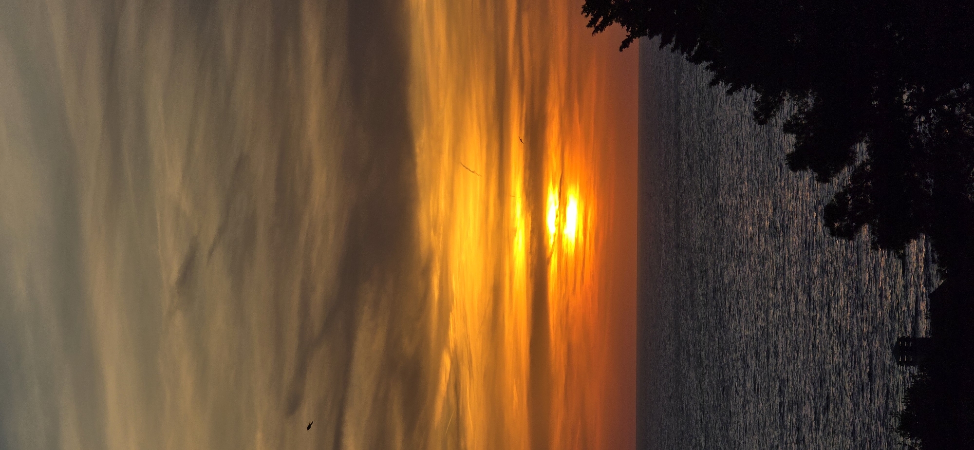 The image captures a sunset over the sea, likely taken in Dobra Voda, Montenegro. The sky is filled with streaks of golden and orange light, with the sun appearing as a bright, diffused source. The sea is calm, reflecting the colors of the sky. A dark silhouette of trees frames the right side of the image. There is an object in the sky that looks like a bird.