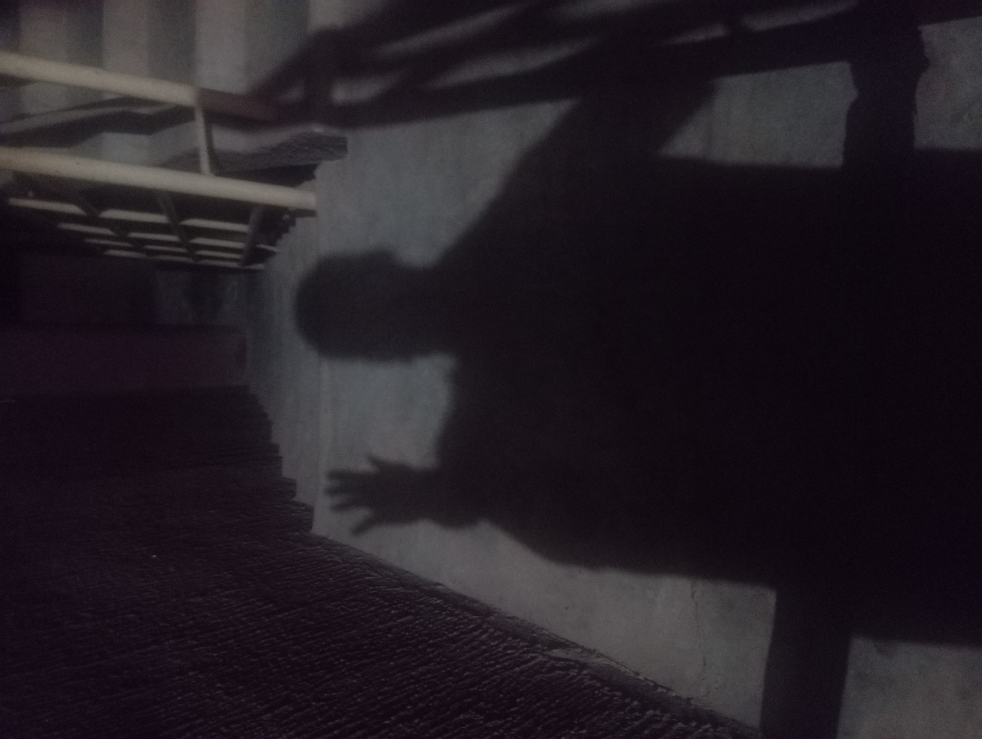 This image captures a dimly lit interior space, likely a stairwell or corridor, in Nkpor, Nigeria. The primary subject is a large, dark shadow of a person cast prominently on the right-hand wall. The shadow clearly shows the profile of a head, torso, and a distinct left hand with fingers spread, suggesting the person might be reaching out, gesturing, or leaning on an unseen surface.
On the left side of the frame, a light-colored structure, possibly part of a staircase or a grated walkway, is visible. The foreground features a dark, textured surface that resembles a coarse mat or a rough concrete floor. The walls are made of a light grey material, likely concrete, and are unevenly lit by an unseen light source.
The scene is characterized by low, artificial lighting, creating deep shadows and a somewhat mysterious atmosphere. The time of day appears to be night, or the location is an indoor area with minimal natural light. There is no discernible activity other than the presence of the person casting the shadow, and no visible text in the image.