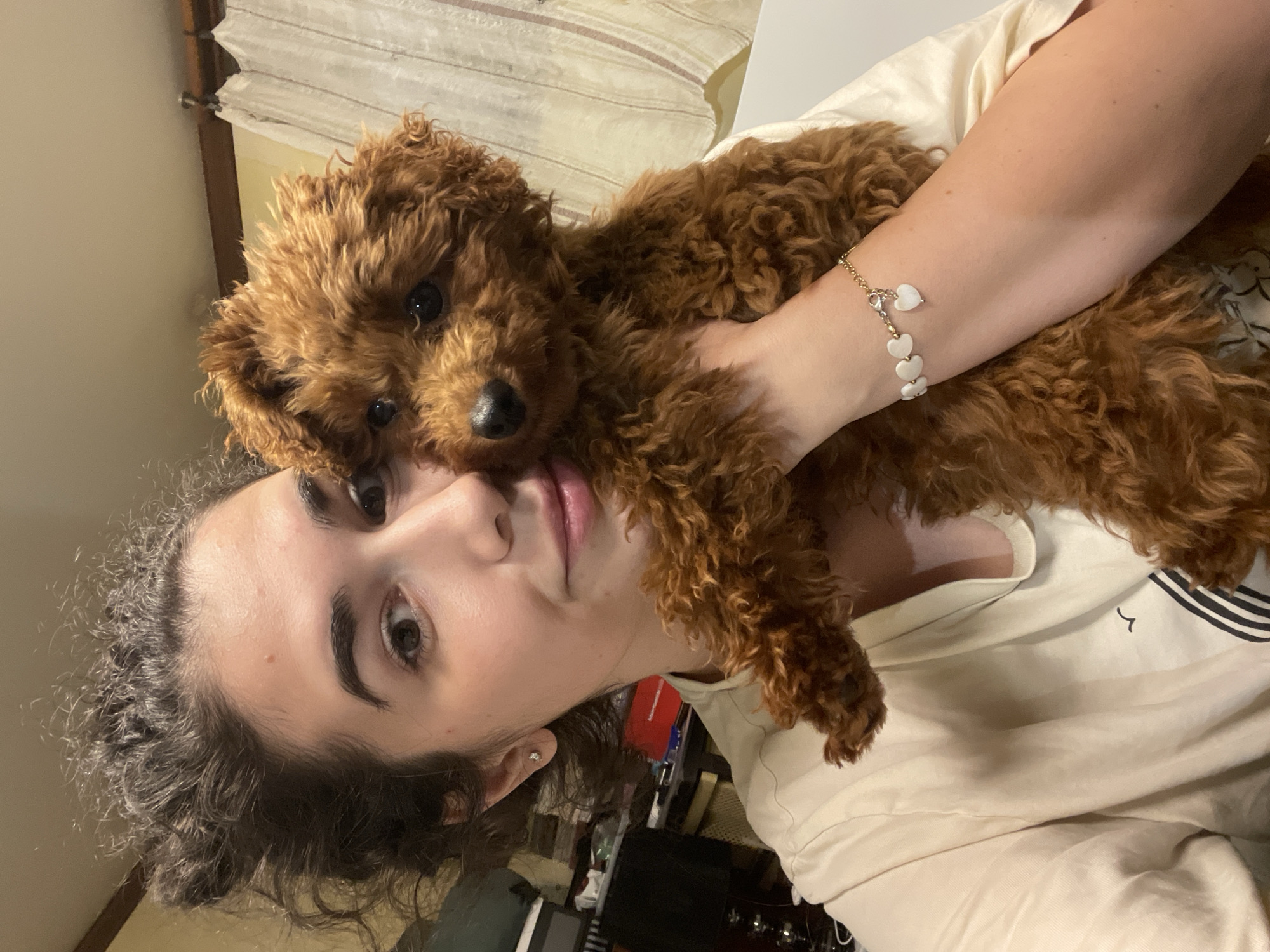 A close-up, vertically oriented photograph captures a young person and a small dog in a warm, indoor setting. The main subjects are a person with dark, curly hair and a reddish-brown, curly-haired dog, likely a poodle or similar breed.
The person's face is prominent, looking directly at the camera with a neutral to soft expression. They have dark eyes, full lips, and their dark, curly hair frames their face. A small, sparkling earring is visible in their left ear. They are wearing a light-colored, possibly cream or off-white, t-shirt that features a small black squiggle design and some faint stripes on the shoulder area. On their right wrist, a delicate golden bracelet with several small, white, heart-shaped charms is clearly visible.
The dog is nestled closely against the person, its head resting on their shoulder and neck. Its soft, dense, reddish-brown fur is a key feature, and its dark, expressive eyes and black nose are visible as it also looks towards the camera. Its paws are gently wrapped around the person's arm.
The background is softly blurred, revealing elements of a home interior. A window with horizontal blinds or a curtain can be seen behind the subjects, along with subtle hints of furniture or other household items, and a flash of red color in the deeper background.
The image captures an intimate and affectionate moment between the person and their pet, suggesting comfort and a strong bond. The lighting is soft and appears to be indoors, possibly ambient daylight or artificial evening light. No specific time of day or weather conditions are discernible. No legible text is visible within the image. The overall impression is one of companionship and warmth. The provided location context is Sofia, Bulgaria.