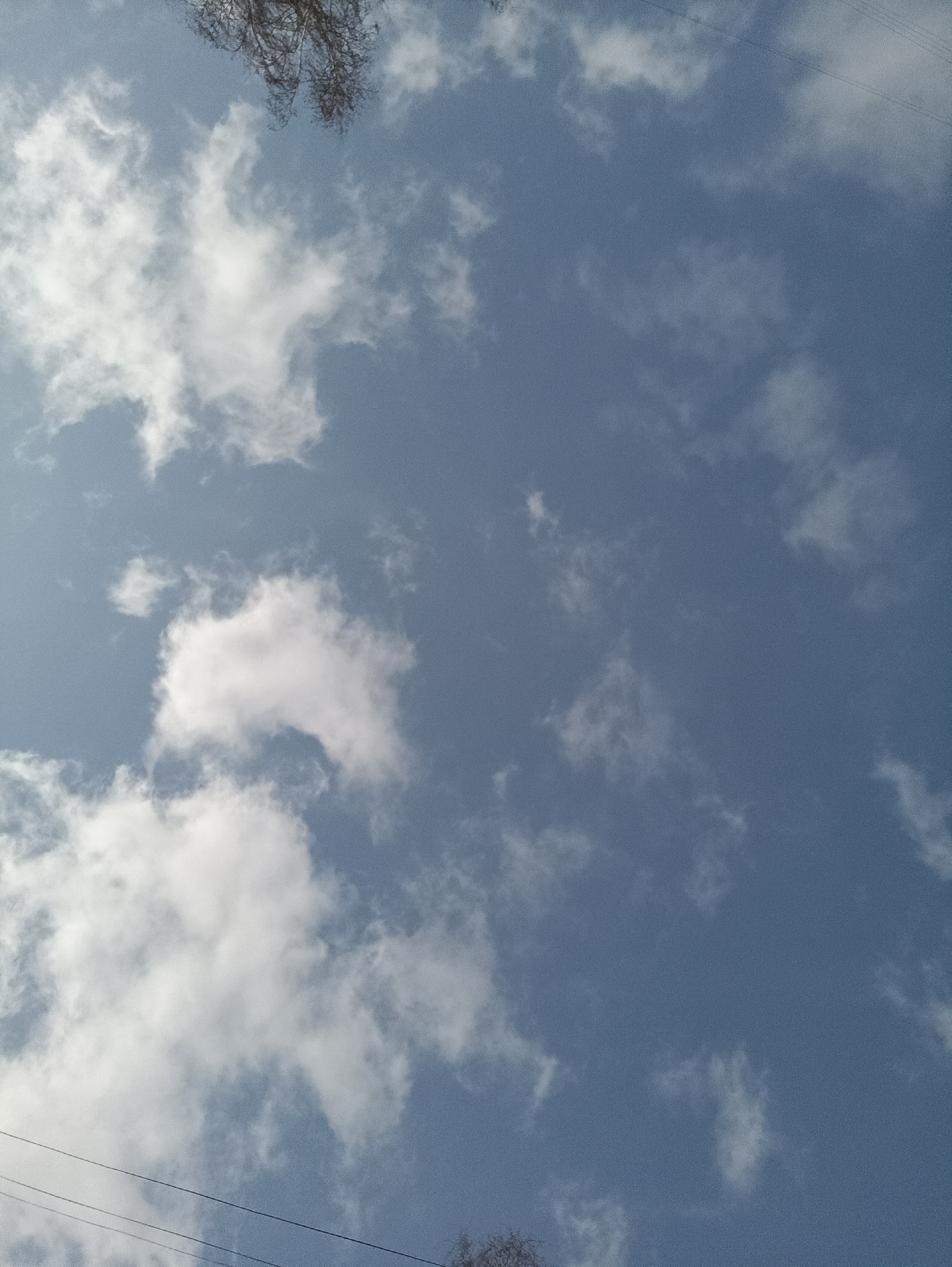 The image shows a daytime sky with scattered white cumulus clouds against a blue background. A thin, leafless treetop and power lines are visible in the lower left corner, and another treetop appears in the top left corner. The location is Chaikovsky, Russia.