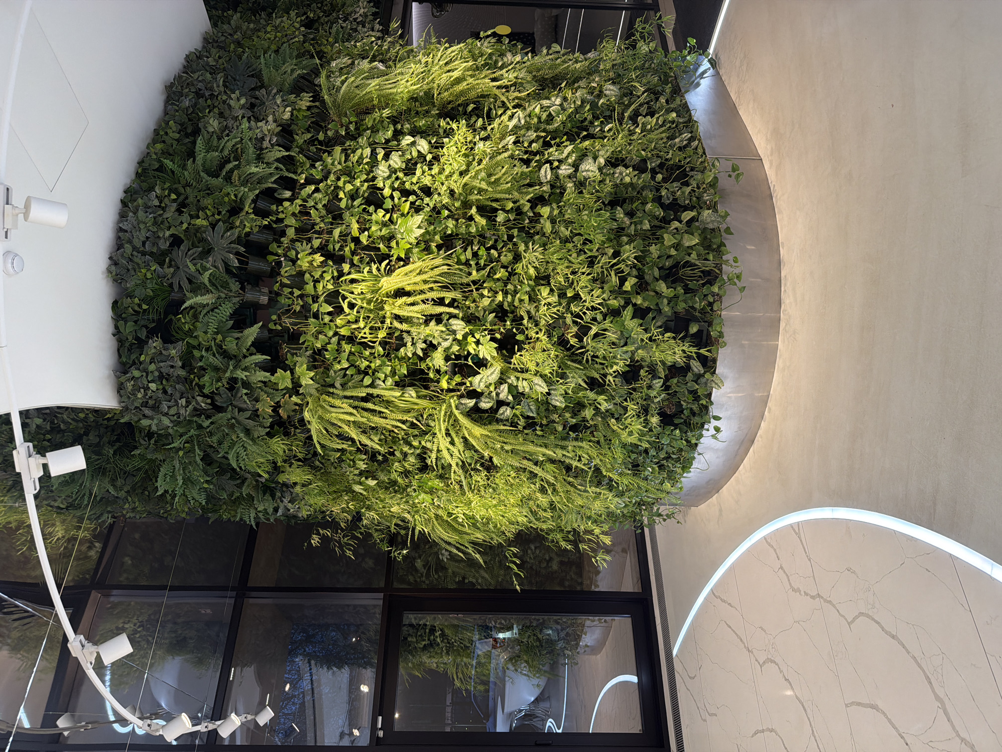 The image captures an indoor vertical garden in a modern architectural setting. The garden is lush with a variety of green plants, including ferns and vines, covering a wall. Below the garden, there is a window. To the left, there is a white structure with a lighting fixture attached. To the right, a curved architectural element, likely a wall or ceiling, features a light strip. The location is likely in Moscow, Russia.