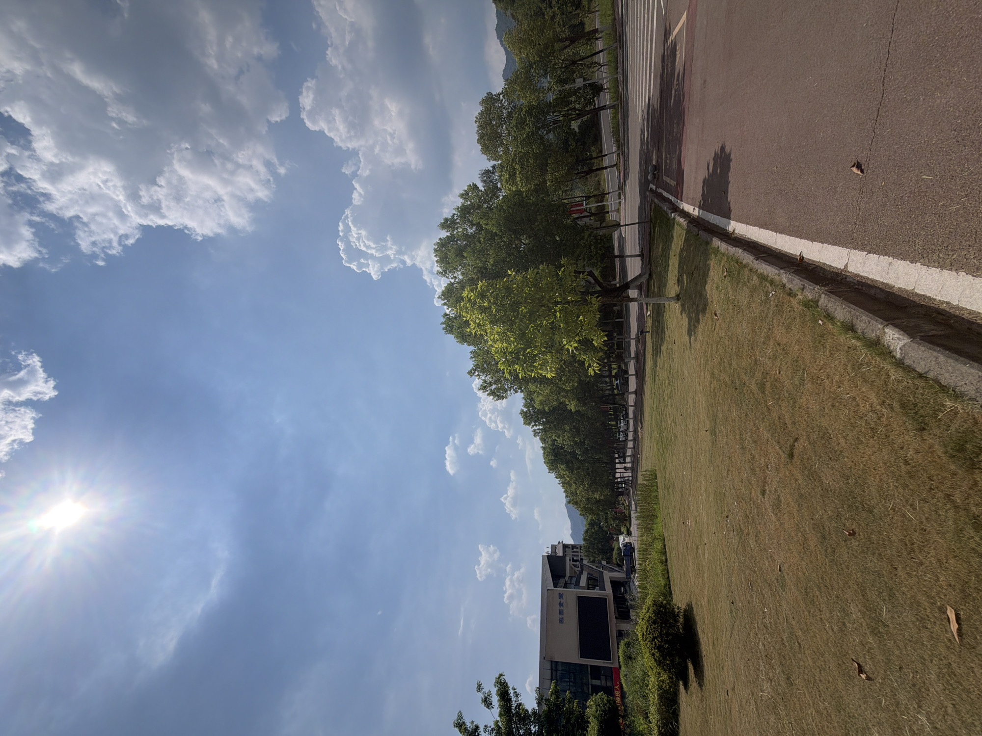 The image depicts a street scene in Jiangjin, China, on a bright, sunny day. The sky is a clear blue with scattered white, puffy clouds and the sun shines intensely in the upper left corner, casting a lens flare. In the foreground, a paved road with a white line marking runs along the right side, bordered by a concrete curb and a strip of dry, yellow-brown grass. To the left of the grass is a manicured lawn with some fallen leaves.
Further back, a row of lush green trees lines the street, with some smaller trees in front of them. A modern, multi-story building with large windows and a dark facade is visible to the left of the trees. It appears to be an institutional or commercial building, with signage in Chinese characters on its exterior. Cars are parked along the street and a few are driving in the distance. A pedestrian crossing with white stripes is marked on the road. Hills covered in green foliage can be seen in the background. The overall impression is one of a well-maintained urban or semi-urban environment.