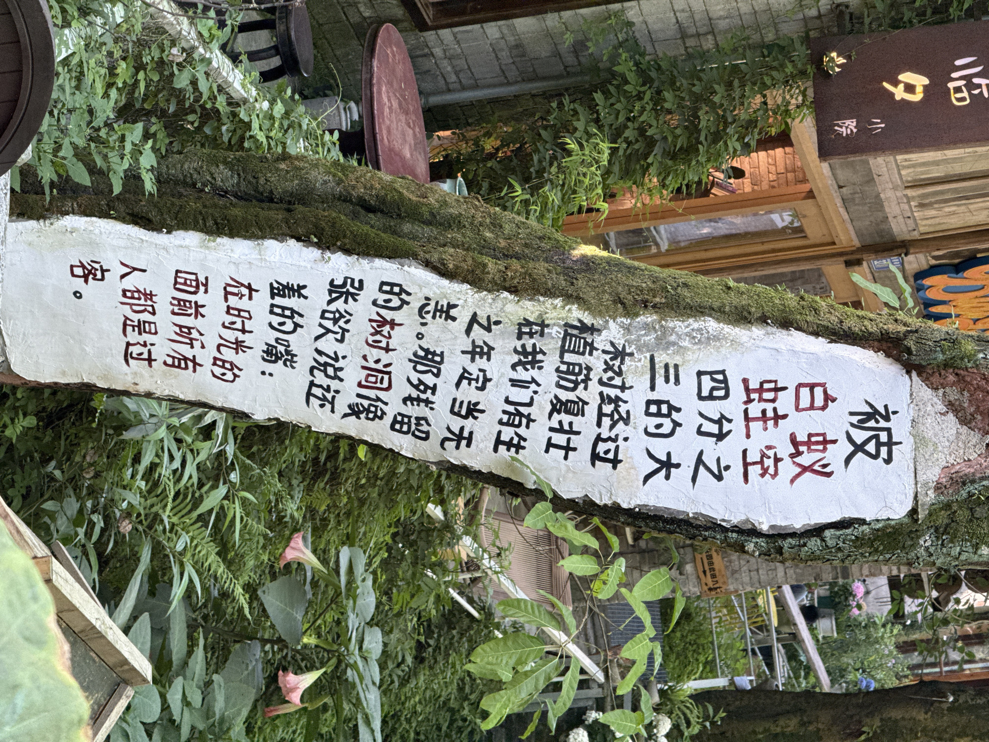 The image shows a close-up of a tree trunk, lying horizontally and slightly angled upwards from left to right. The trunk is partially covered in moss and has a white, rectangular sign attached to it. Black and red Chinese characters are printed on the sign. The text on the sign describes a tree that has been hollowed out by termites, and the measures taken to strengthen it. The sign ends with a reflection on the passage of time. The surroundings are lush with green plants, including ferns, and trumpet-shaped flowers. Background elements include glimpses of buildings and other outdoor furniture. A small sign indicates it is a garden or residence. The sign provides the additional detail that the location is in the city of Beibei in China.
