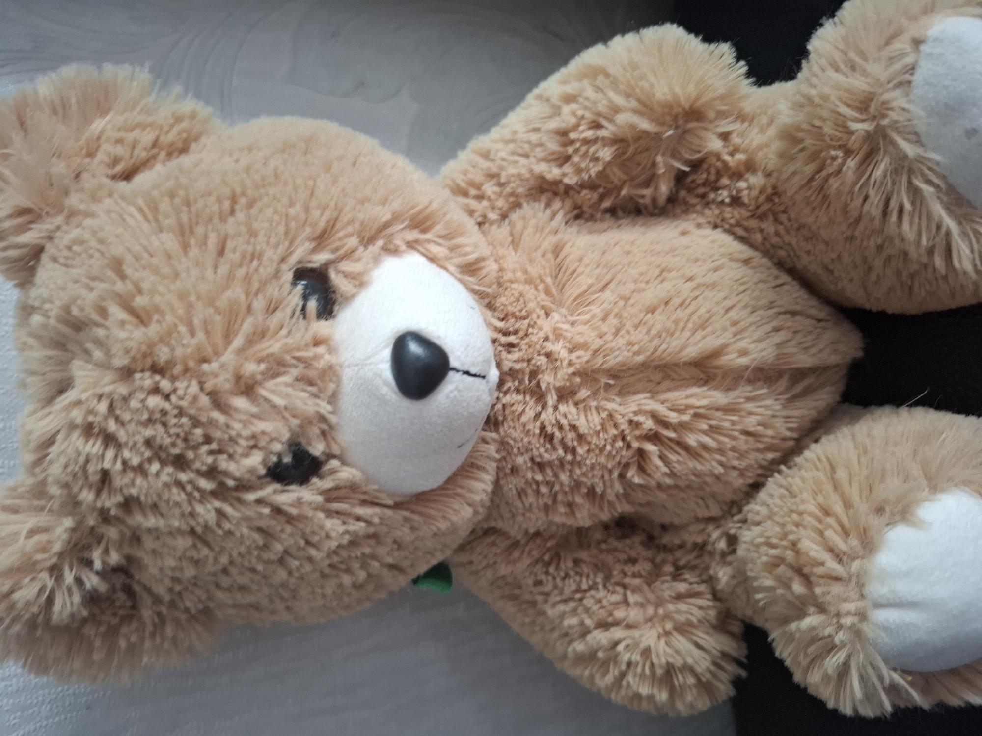 This media file shows a close-up, overhead view of a light brown, plush teddy bear lying on its side. The bear has white patches on its paws and a white face with black eyes and a black nose. A small green tag is visible near its neck. The bear appears soft and well-worn. The background is a muted, textured surface, likely a blanket or upholstered furniture, with a darker area visible to the right. There is no visible text. The lighting is soft and diffused, suggesting an indoor setting during the daytime. The image's orientation is landscape, with the bear's head towards the left.