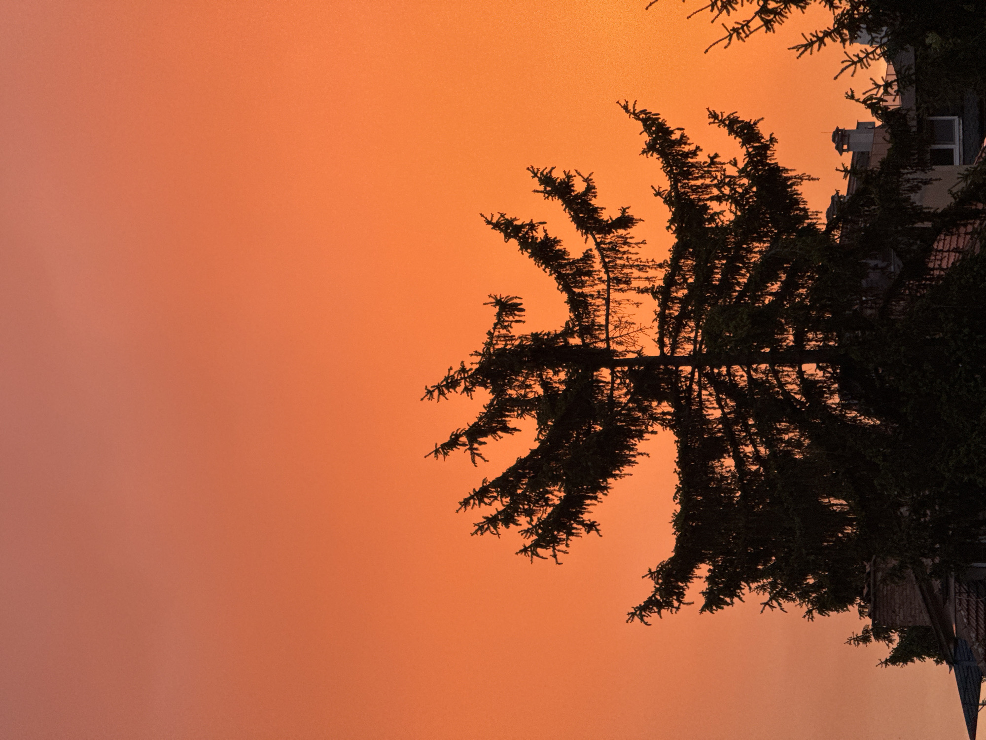 An image taken in Sofia, Bulgaria features a sky colored a hazy orange, likely due to atmospheric conditions like wildfire smoke. Dark silhouettes of trees and a building are visible against the orange sky. The image is presented with the horizon at the right edge, with the treetops pointing downwards and the sky dominating the left. The building appears to be several stories tall with at least one visible window. A metal railing is also attached to the building.