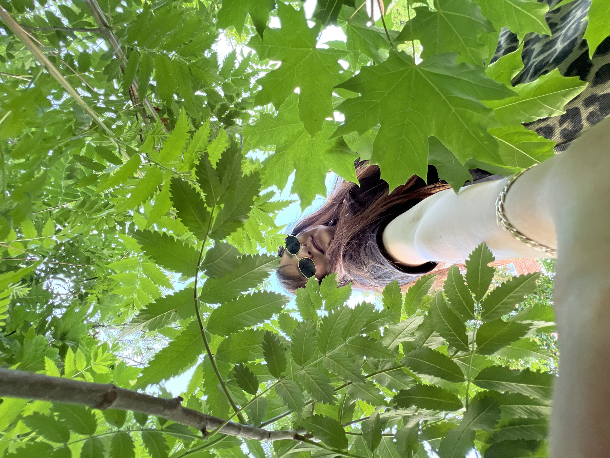 A low-angle shot captures a young woman looking up through lush green leaves. The woman, with long dark hair and sunglasses, is positioned in the upper center of the frame, her face tilted upwards towards the camera. She appears to be in a relaxed or playful pose, with a hint of a smile visible. Her attire includes a white top and a leopard-print garment on her shoulder. A silver bracelet adorns her wrist. The scene is dominated by the vibrant green foliage of trees, with glimpses of a bright blue sky peeking through the gaps between the leaves. The perspective suggests the photograph was taken outdoors, possibly in a park or garden, during the daytime when the sun is out. The overall mood is cheerful and summery, with the natural elements creating a sense of tranquility and freshness. There is no visible text in the image.