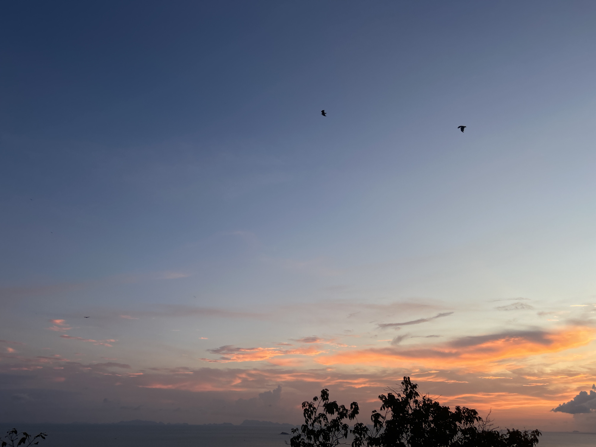 The image shows a dusky sky with orange and pink hues blending into the blue above. Two dark birds are silhouetted against the sky. In the lower part of the image, silhouetted trees stand against the backdrop of the ocean and horizon. The location is likely Baan Sri Thanu, Thailand, as stated in the prompt. No people or interactions are visible in the image. The environment suggests a serene, possibly coastal, location at dusk or dawn.