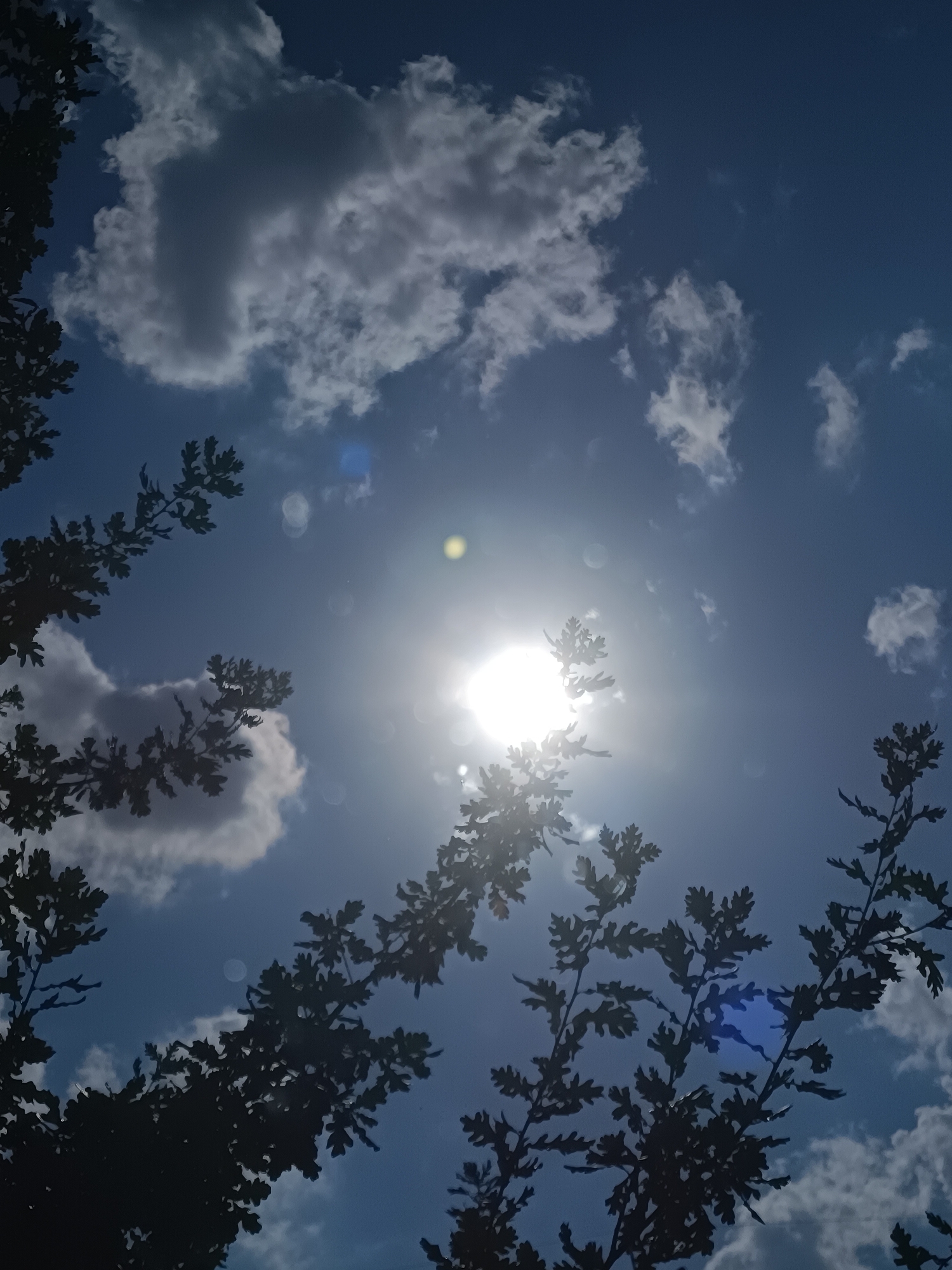 The image is a low-angle shot of a bright sun partially obscured by clouds against a blue sky. Silhouetted tree branches with leaves frame the scene from the top and bottom edges. The sun appears as a strong, blown-out white light source with a yellow-green flare in the center, surrounded by circular light artifacts, suggesting the presence of dust or water droplets on the camera lens. Some fluffy white clouds are scattered across the sky, with one larger, darker cloud to the left. The foliage appears to be oak leaves due to their distinctive lobed shape. The overall impression is a sunny day, possibly with some wind causing the leaves to sway. The location is unknown and cannot be determined from the image.