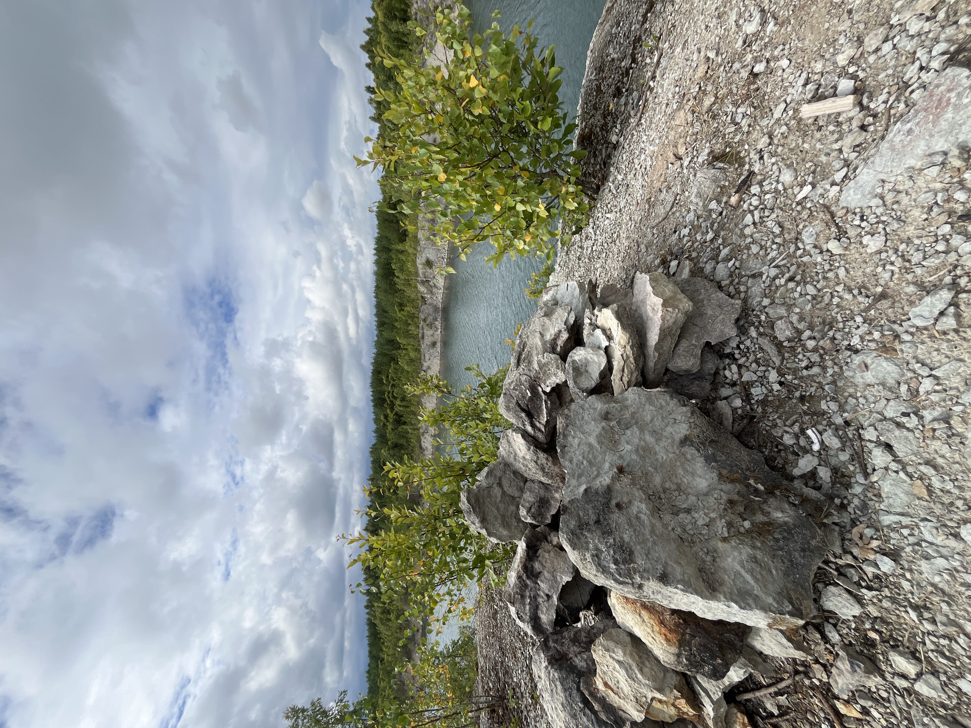 The image depicts a natural landscape with a body of water, likely a quarry lake, located in Aidu, Estonia. In the foreground, a pile of large, grey rocks sits on a gravelly slope. A small tree with green and yellow leaves is growing on the slope near the rocks. The body of water is calm and reflects the cloudy sky. In the background, a dense forest of green trees lines the opposite bank of the water. The sky is filled with white and grey clouds, suggesting an overcast day. The scene appears to be an outdoor natural environment.