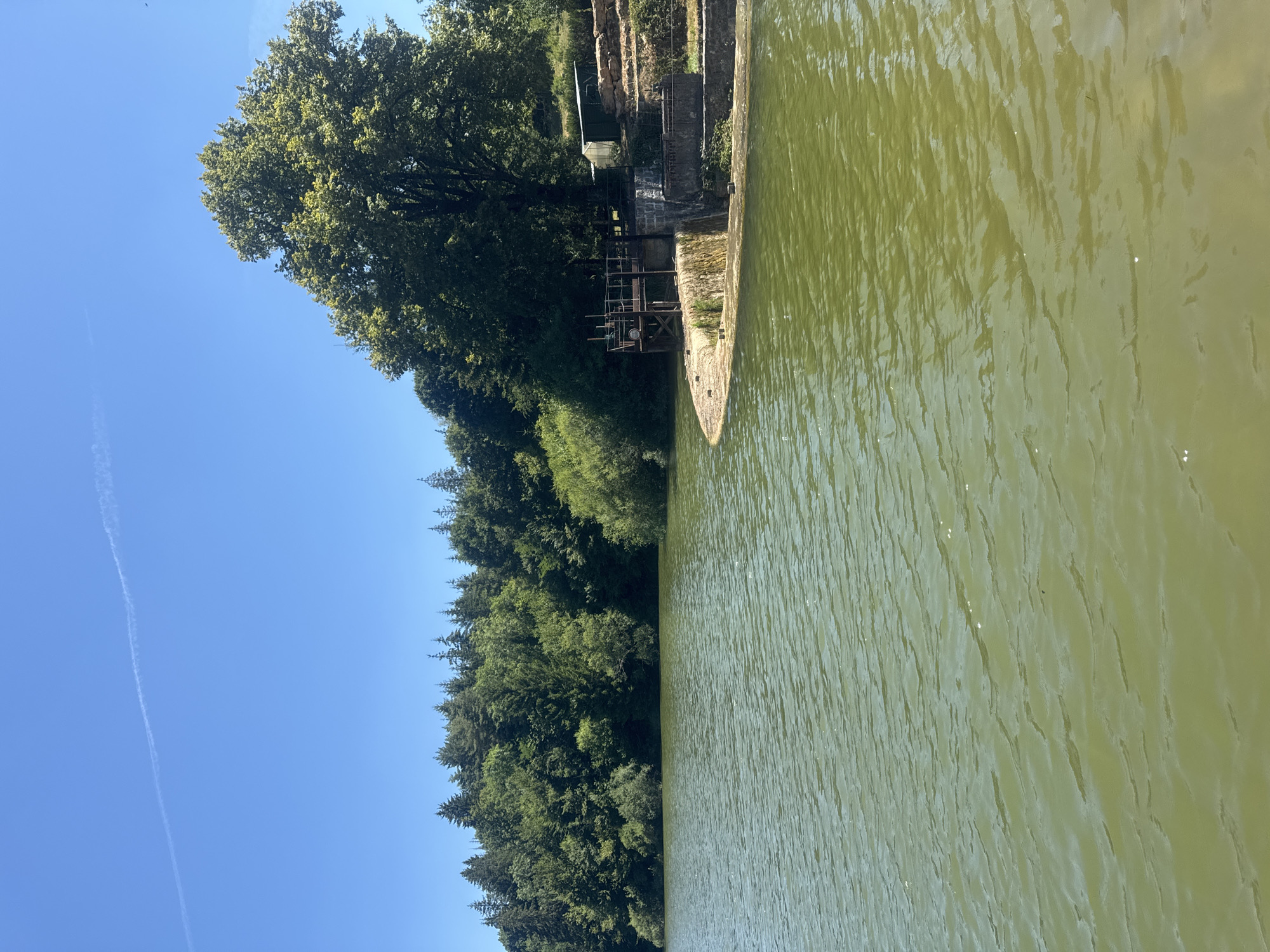 This is an eye-level, medium shot of a lake in Coteaux du Lizon, France. The lake's surface is calm, with gentle ripples. A dense forest borders the far side of the lake. On the right, a stone embankment leads up to a concrete structure with a small waterfall and an elevated walkway. A large deciduous tree stands behind the structure, its branches reaching towards the bright blue sky. A contrail is visible in the sky. The image is taken on a clear, sunny day.