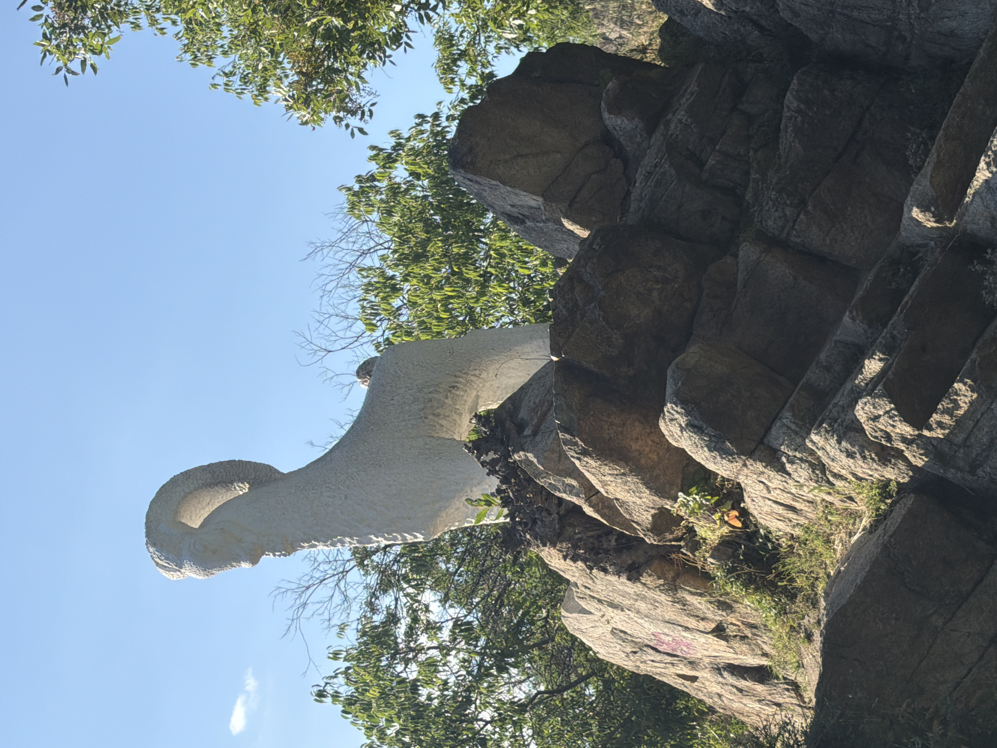 The image shows a sculpture of a ram's head in Plovdiv, Bulgaria. The white sculpture sits on a rock formation, surrounded by trees. The sky is visible in the background. The image is taken from a low angle, looking up at the sculpture.