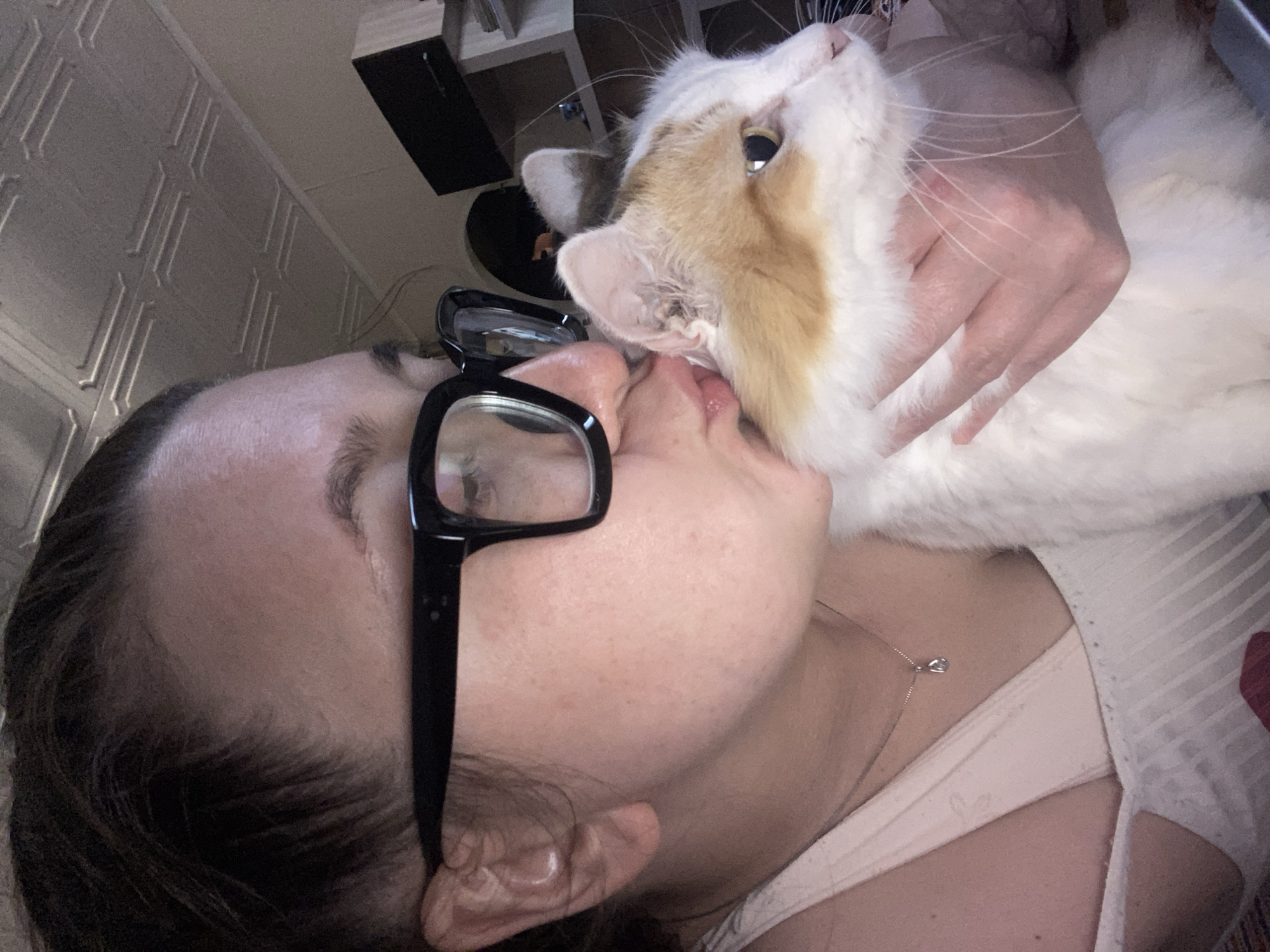 A woman with dark hair and eyeglasses is closely interacting with a white and orange cat. The woman's face is near the cat's face, appearing as though they are kissing or nuzzling. The cat is being held by the woman, and her hand is visible on the cat's chest. The woman is wearing a white top and a delicate necklace. The background includes a textured wall and a glimpse of a shelf with objects on it. There is no information about the city of Chaikovsky, Russia.