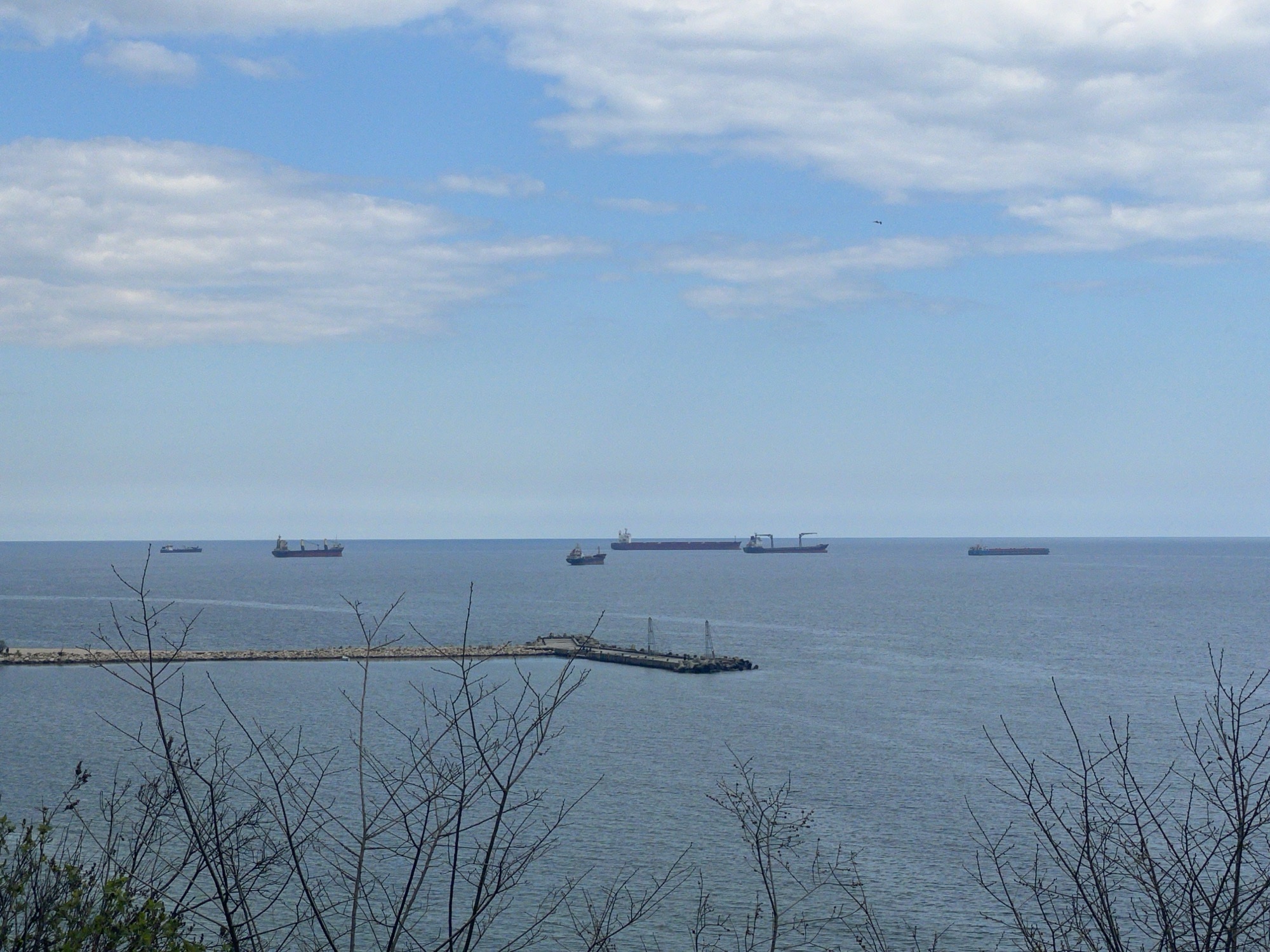 The scene is a view of the Black Sea from what appears to be a higher vantage point within the city of Varna, Bulgaria. The foreground consists of leafless tree branches, partially obscuring the view. In the middle ground, there is a harbor or pier structure extending into the water. The sea itself is calm with a few ships visible along the horizon. The sky is predominantly blue with scattered white clouds.