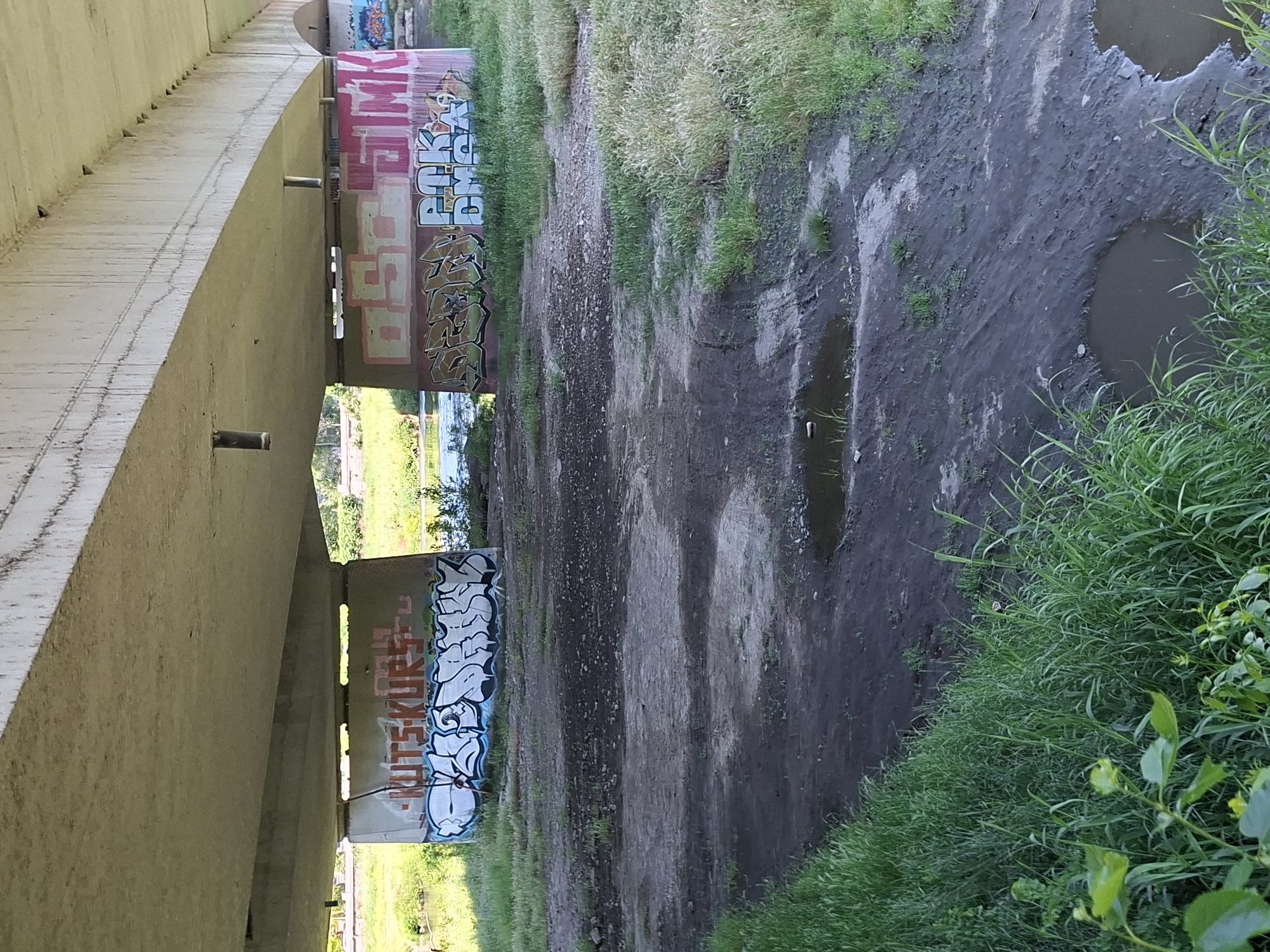 The image depicts an underpass or bridge support in Plovdiv, Bulgaria. The concrete structure is heavily tagged with graffiti in various colors and styles. A muddy, uneven ground surface runs beneath the structure, with pools of standing water and patches of grass and other vegetation. The surrounding area appears overgrown and unkempt. There are no people visible in the scene.