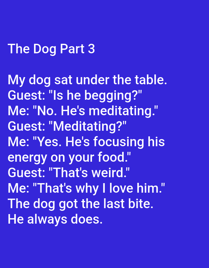 The image is a screenshot of text on a plain blue background. The text is white and reads: "The Dog Part 3 My dog sat under the table. Guest: "Is he begging?" Me: "No. He's meditating." Guest: "Meditating?" Me: "Yes. He's focusing his energy on your food." Guest: "That's weird." Me: "That's why I love him." The dog got the last bite. He always does." There are no people, subjects, objects, actions, interactions, or environmental details visible in the image as it is purely text. The location of Kępno, Poland, is not relevant to the content of this image.