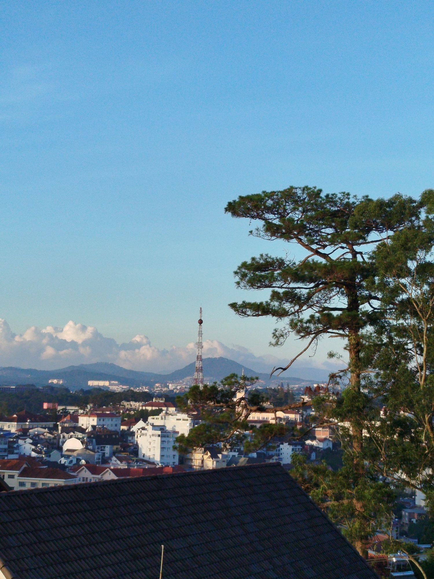 The image presents a cityscape of Da Lat, Vietnam, viewed from an elevated position, possibly a rooftop. The foreground is dominated by a dark-tiled roof, likely of the building from which the photo is taken. To the right, a large coniferous tree with dense green foliage partially obscures the view. Beyond the roof and the tree, a dense urban landscape unfolds, characterized by closely packed buildings with a mix of architectural styles. The buildings are predominantly white, tan, and brick, with red-tiled roofs. In the middle distance, a telecommunications tower rises prominently above the buildings, marking a recognizable point in the city's skyline. In the background, rolling hills and mountains are visible, partially veiled by white, puffy clouds. The sky above is clear and blue, indicating fair weather. No people are visible in the image. The overall scene is bathed in soft, diffused light, suggesting it is either early morning or late afternoon. The composition emphasizes the contrast between the natural elements (trees, mountains, sky) and the urban environment (buildings, tower).