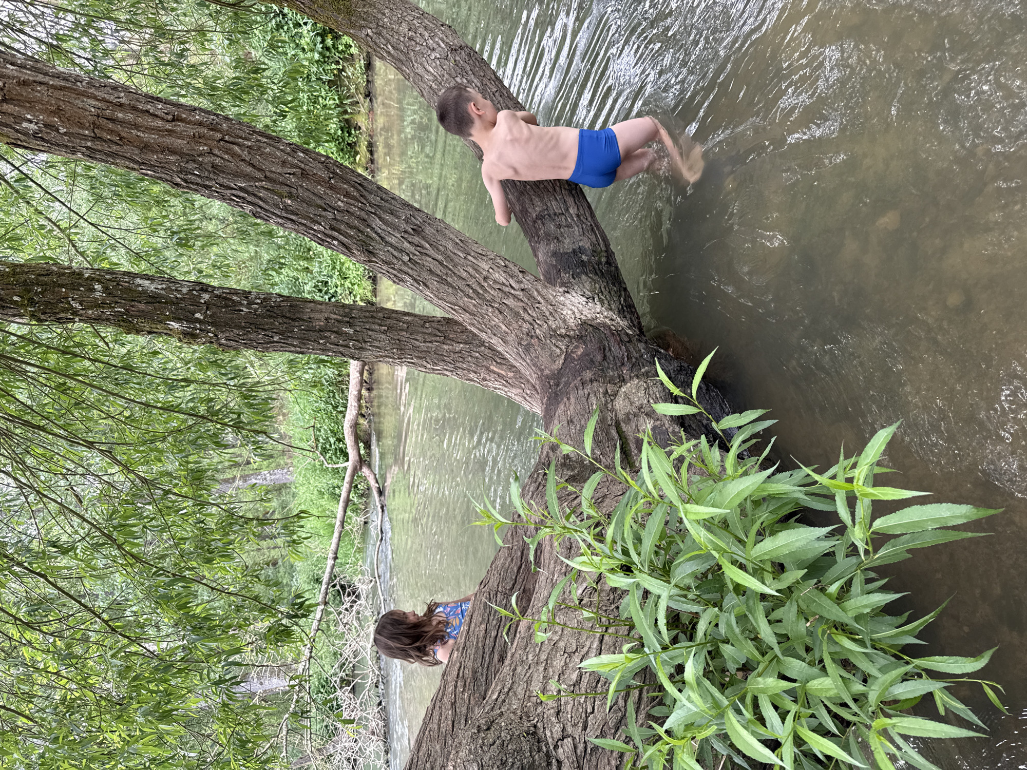 The image shows two children on a large fallen tree that lies partially in a body of water. A boy in blue swimming trunks is lying on the tree trunk with his upper body and legs immersed in the water. A girl, visible from the back, is sitting on the tree trunk, away from the water. The tree appears to be lying over a small river. Lush green foliage surrounds the scene. This image was taken near or in West Oxfordshire, United Kingdom.
