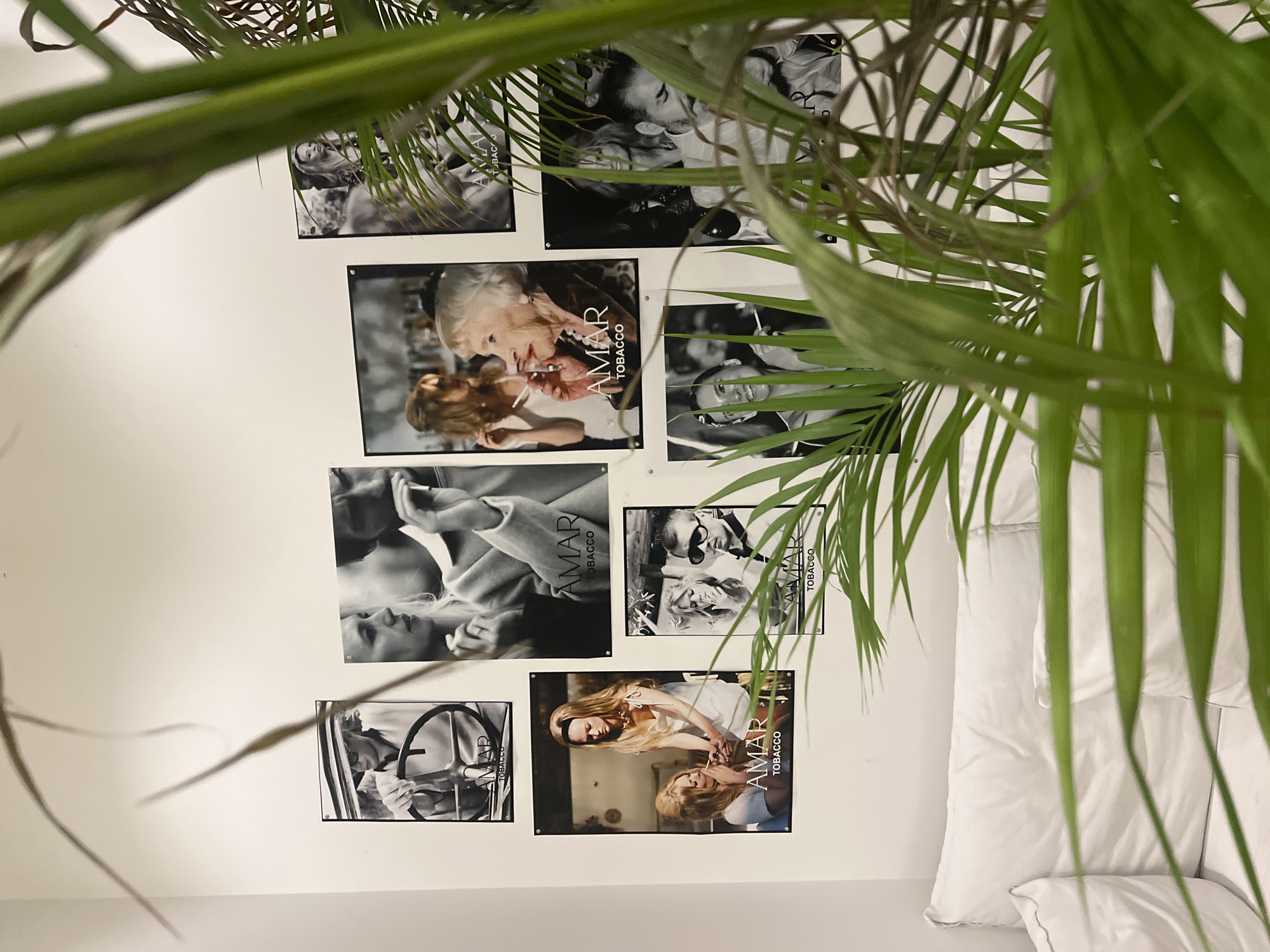 A wall adorned with a collection of black and white framed photographs, seemingly promotional images for "Amar Tobacco", is partially obscured by a potted palm plant with vibrant green fronds. The room also features a stack of white pillows. There's no verifiable detail about Yerevan, Armenia in the image.