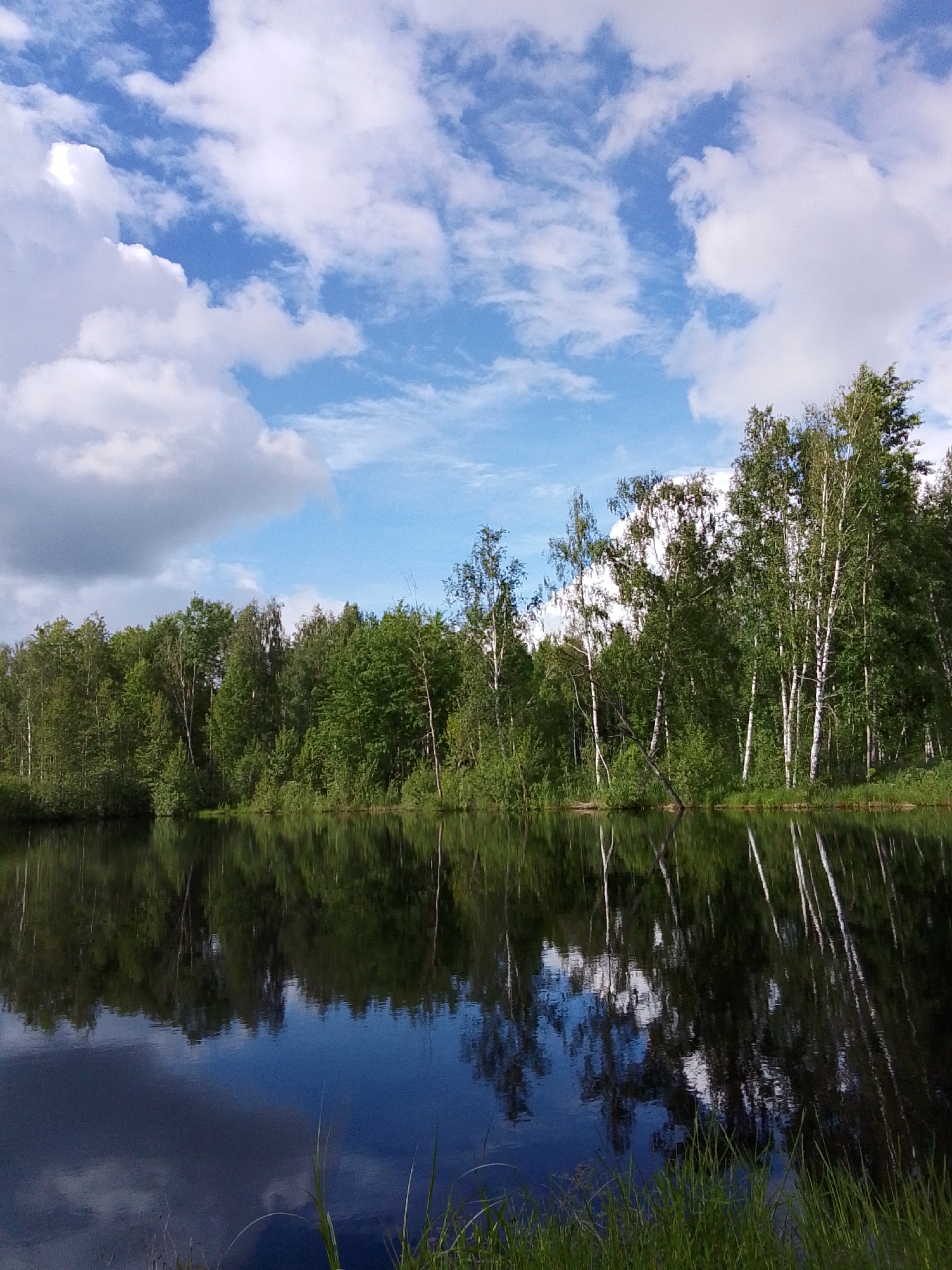 The image shows a still body of water reflecting a forest edge and a blue sky with scattered clouds. The forest consists of green trees, with some birch trees identifiable by their white bark. Grass grows along the immediate bank of the water. The water is dark, reflecting the forest and sky. The location is 1-Go Maya, Russia.