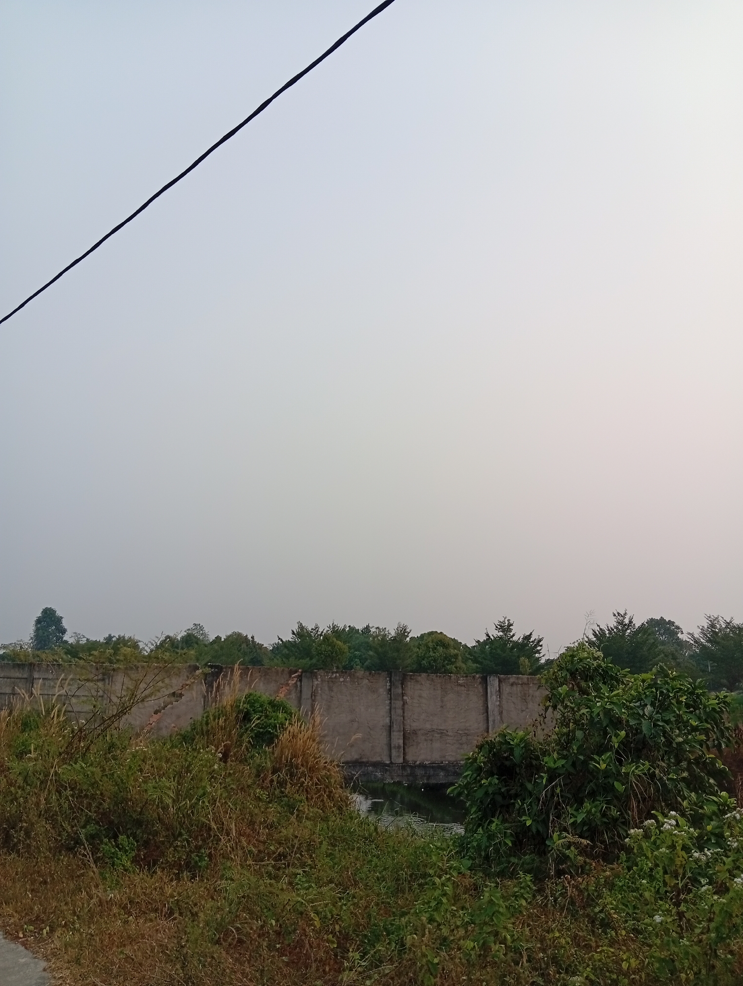 This is a photograph of an outdoor scene in Kualu, Indonesia. A thick black wire stretches diagonally across the top of the frame, against a pale, hazy sky. Below the wire is a long, grey concrete wall, segmented by vertical supports. Behind the wall, a dense line of green trees forms the horizon. In the foreground, the ground is covered with a variety of green and brown vegetation, including tall grasses and leafy bushes. A small body of dark water is visible behind the concrete wall, between the vegetation and the trees. The overall impression is one of an overgrown, somewhat neglected urban fringe.