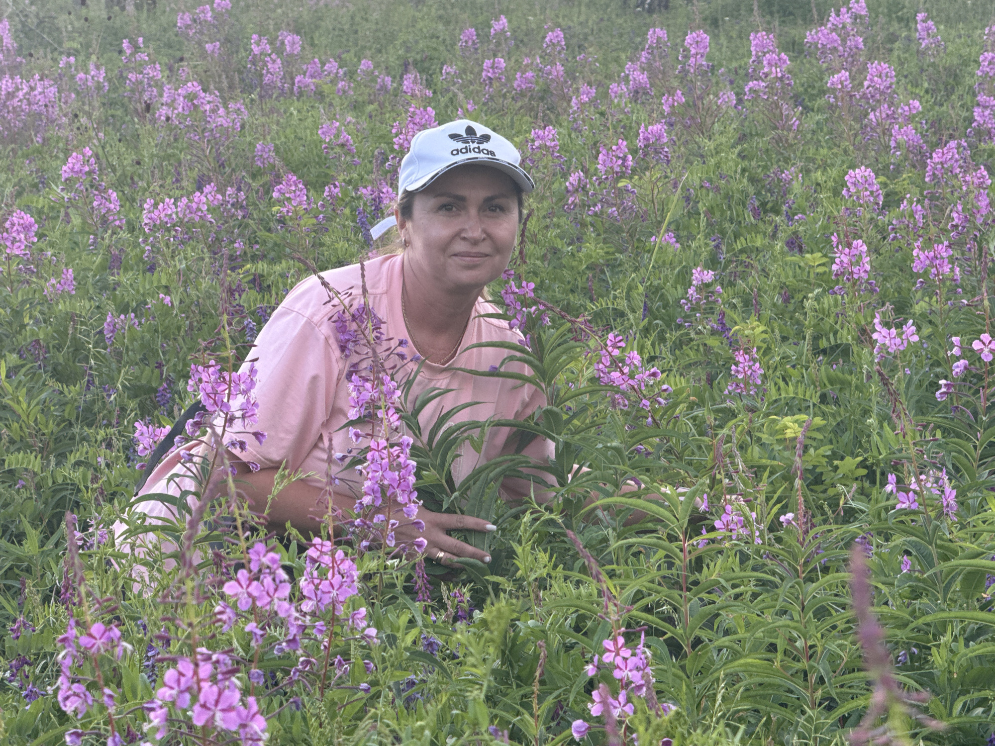 In Bratsk, Russia, a woman with brown hair and a light complexion, wearing a pink t-shirt and a white Adidas baseball cap, is pictured amidst a field of blooming purple flowers and green foliage. She is looking towards the camera with a slight smile. Her right hand is visible, resting on some of the plants. The background consists of more of the same flowers and vegetation, creating a natural, outdoor setting.