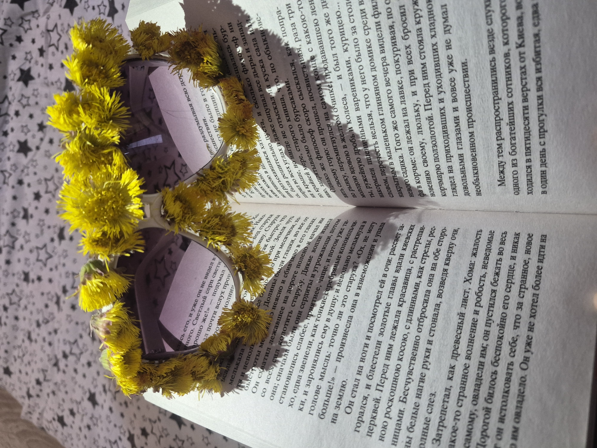 An open book with Cyrillic text rests on a light-colored surface patterned with black stars. A pair of sunglasses, featuring light purple/pink lenses and dark frames, lies open on the pages of the book. The frames of the sunglasses are decorated with numerous bright yellow, dandelion-like flowers, creating a whimsical wreath effect around the lenses. Strong, natural light from the left casts distinct shadows of the flowers and sunglasses onto the right-hand page.
The visible text in the book is in Russian. Fragments include words such as "Киев" (Kyiv), "философ" (philosopher), "старуха" (old woman), and "красавица" (beautiful woman). A specific passage visible through OCR, "Затрепетал, как древесный лист, Хома: жалость такое-то странное волнение и робость, неведомые самому, овладели им", indicates the text is from Nikolai Gogol's novella "Viy," referencing the character Khoma Brut. The scene is a still life, likely captured during the daytime, suggesting a moment of leisure or creative arrangement.