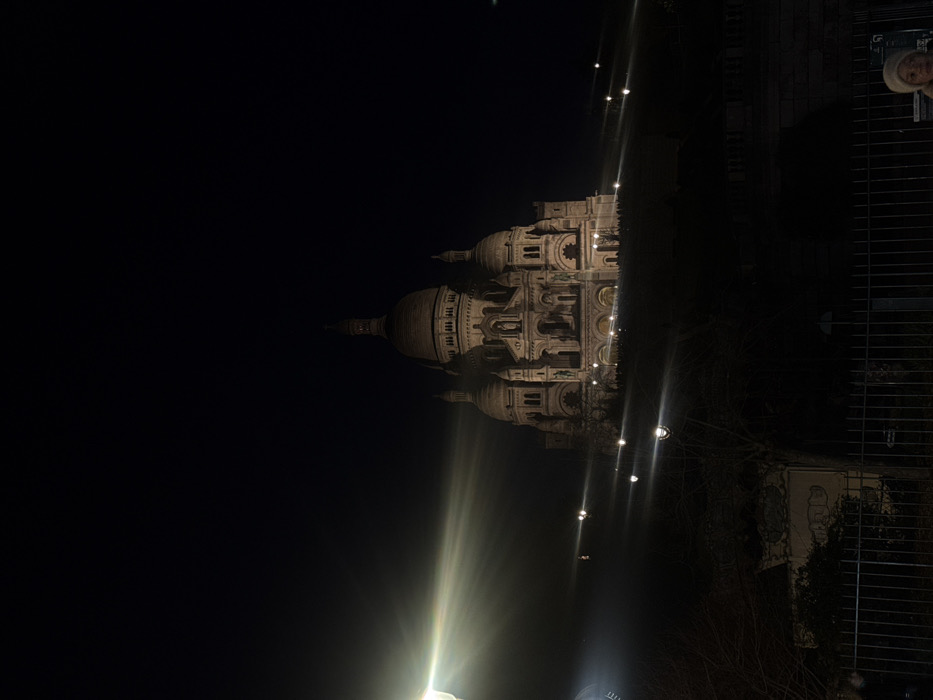 The image displays the Sacré-Cœur Basilica in Paris at night, viewed from an elevated perspective. The main subject, the basilica, occupies the left half of the frame and is brightly illuminated against a completely dark, featureless night sky. Its distinctive white stone and Romano-Byzantine architecture, including multiple domes, arches, and intricate details on the facade, are clearly visible.
To the right of the basilica, several bright artificial light sources are present, creating prominent lens flares that extend across the lower and middle sections of the image. These lights suggest streetlights or other nearby ambient lighting. In the midground, to the right of the basilica, the silhouettes of bare trees can be discerned, indicating a possibly winter setting or a time when foliage is sparse. Further to the right and closer to the foreground, a dark, grid-like structure, resembling a metal fence or railing, is visible. Partially obscured behind this structure, in the upper right corner, is a portion of a person's head, wearing a light-colored hat or beanie, suggesting an onlooker in the immediate foreground.
The overall scene captures the iconic landmark's grandeur under night illumination, with the artificial lights creating a dramatic contrast against the darkness. No discernible text is visible in the image.