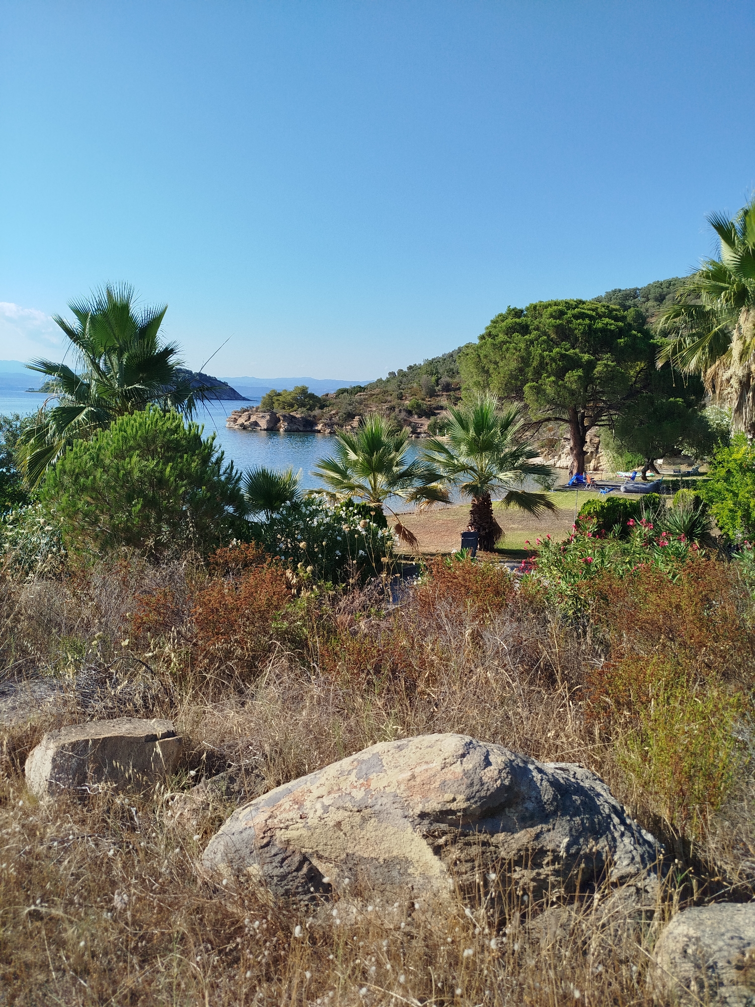 A scenic view of a clear blue sky over a tranquil bay in Sithonia Municipal Unit, Greece. The foreground is dominated by dry, autumnal vegetation and large, weathered rocks. Beyond this, a lush green area with palm trees and flowering bushes leads down to the calm, reflective water. In the middle ground, a grassy area features scattered blue and light-colored chairs, some possibly loungers, and what appears to be a dark blue inflatable raft. Rocky outcrops and small islands dot the bay, with a densely forested hillside rising in the background. The overall atmosphere is peaceful and natural.