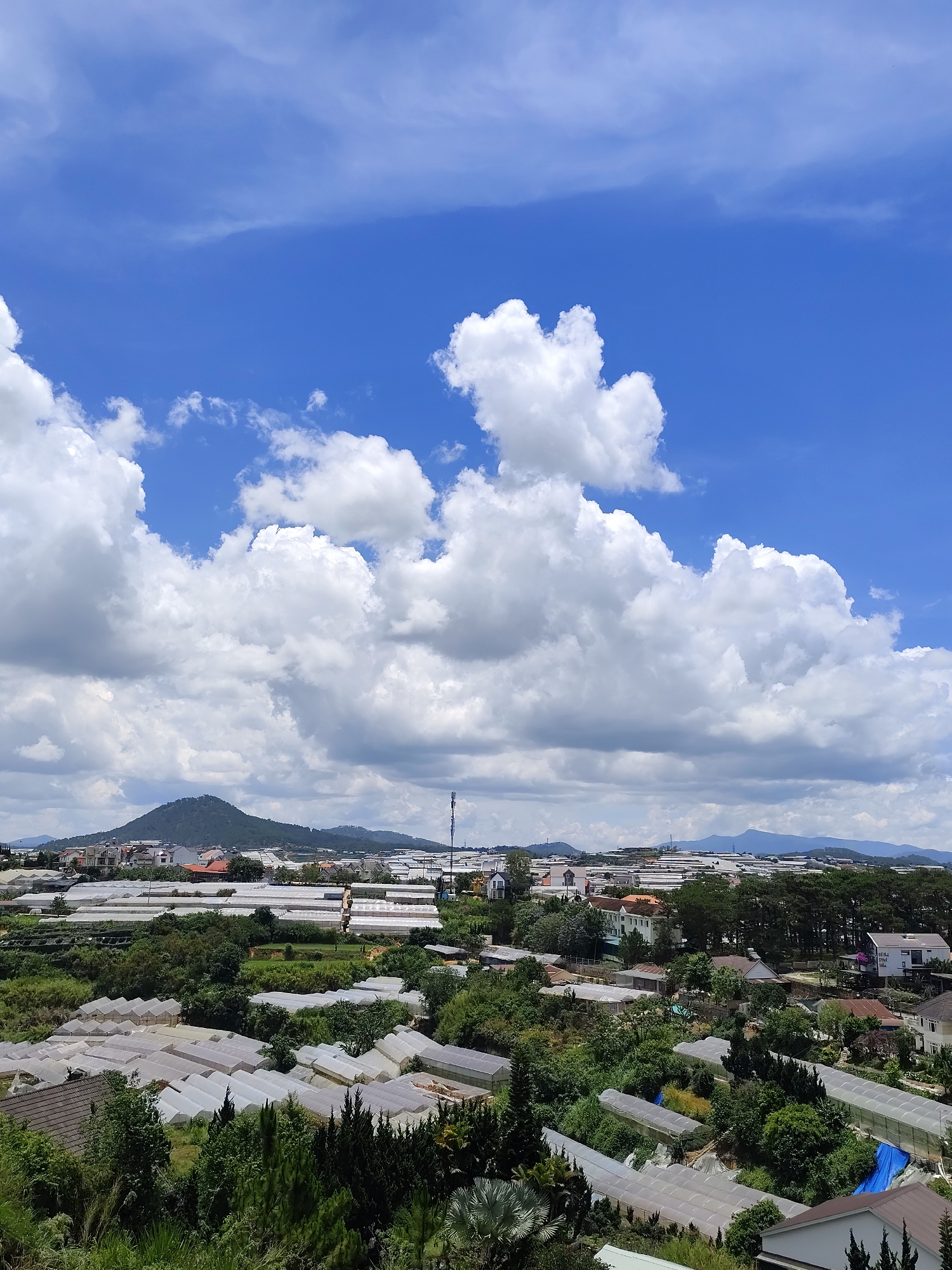 The image shows a wide-angle, elevated view of a cityscape in Xuân Trường - Đà Lạt, Vietnam. The scene is dominated by a clear blue sky with scattered cumulus clouds. Below, the landscape consists of a dense mix of buildings, greenhouses, and lush greenery. In the distance, a mountain range forms the horizon. The houses and greenhouses are interspersed with trees and vegetation, suggesting a semi-rural environment. A communications tower is visible, further indicating an urban area. No people are visible.
