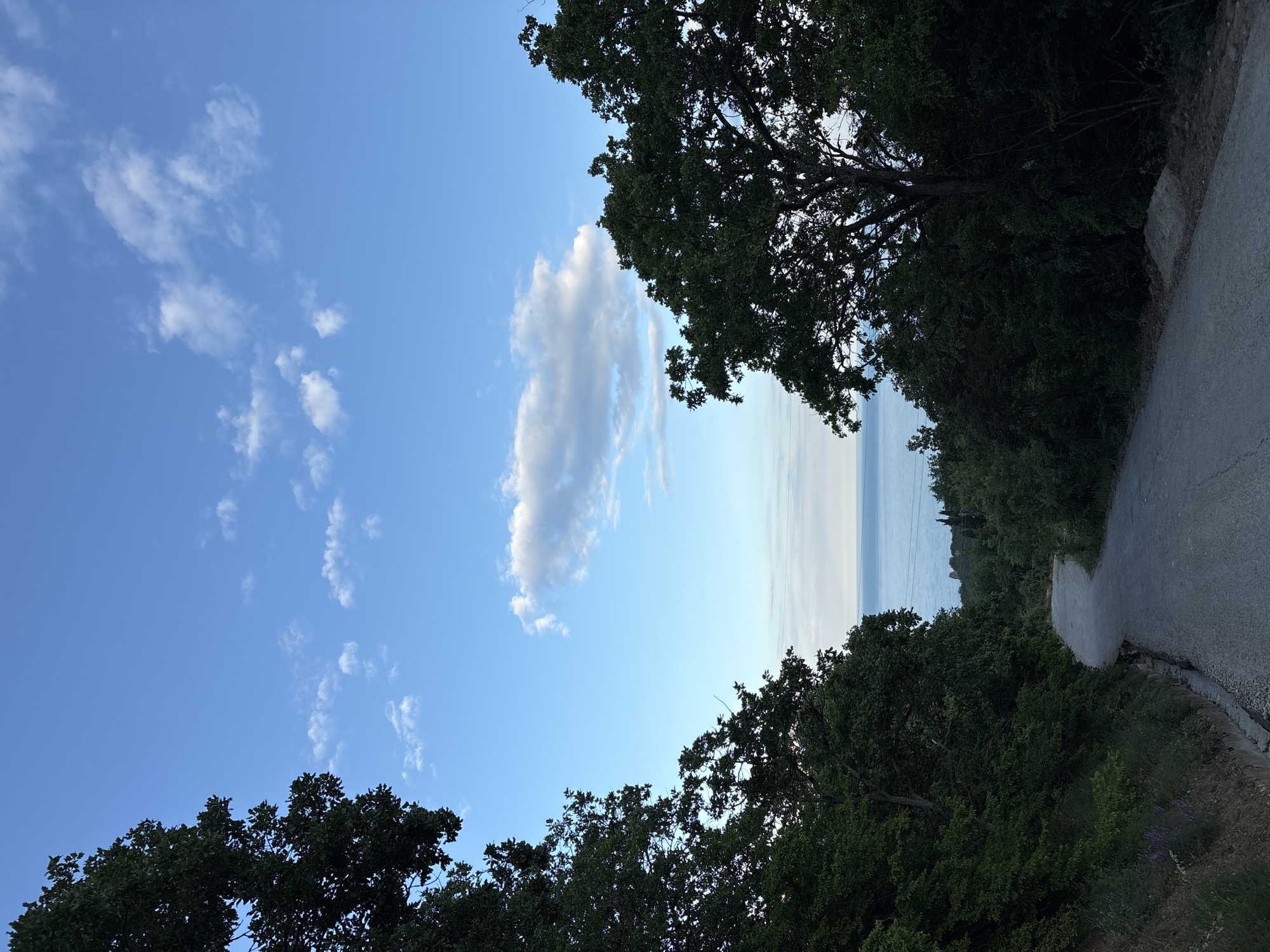 The image displays a serene landscape overlooking a vast body of water, likely the sea, from an elevated position. The perspective is framed by dense, dark green foliage and trees, particularly along the left and bottom edges, and partially along the top right.
The upper portion of the scene is dominated by a bright blue sky, scattered with fluffy white clouds of various sizes and shapes. A prominent, elongated cloud stretches diagonally across the upper-left sky. Below the sky, a calm, light blue-grey expanse of water extends to a distant, flat horizon line. The water appears tranquil and still.
On the right side of the frame, a paved, grey road or path is visible, gently curving downwards and out of sight. A low, perhaps concrete or stone, barrier or curb runs along the inner edge of this road. The immediate vicinity of the road is bordered by more green vegetation and some dry earth.
The overall lighting suggests either late afternoon or early morning, with a soft, diffused light illuminating the sky and water, contrasting with the deeper shadows on the dense tree canopy. No specific activity or individuals are present. The weather appears clear and pleasant. The scene evokes a sense of peaceful natural beauty, characteristic of a coastal overlook or a winding road through a forested area near a body of water, fitting the location context of Kiparisnoe, Ukraine, suggesting a view of the Black Sea. There is no visible text in the image.