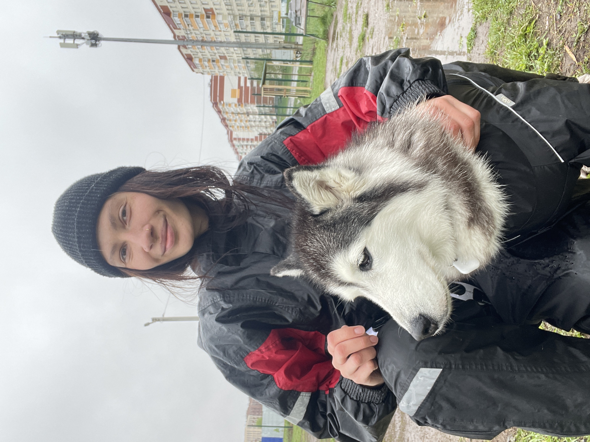 A person wearing a black beanie and a dark-colored jacket with red accents is holding a husky dog. The dog is white and gray. The background includes an apartment building and a cellular tower. The picture was taken in Izhevsk, Russia.