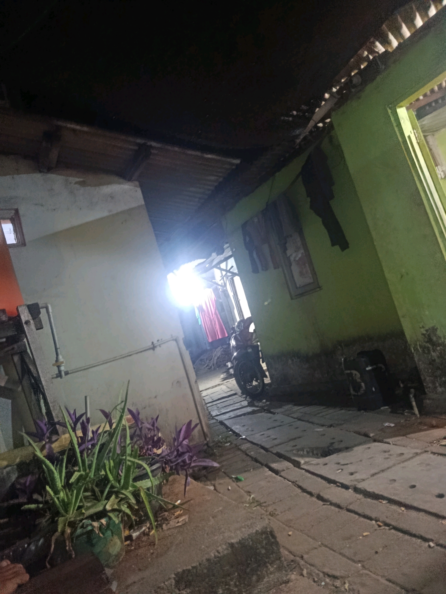 The image depicts an outdoor scene at night, likely in a residential area of Jobokuto, Indonesia, characterized by its rustic and somewhat dilapidated appearance. The foreground features a cluster of potted plants, including what appears to be aloe vera and purple heart plants, placed on a rough concrete surface.
To the left, a portion of a white-walled building is visible, with a small, inset window. A metal pipe with a valve runs horizontally across this wall. The roof structure above is visible, constructed of wood and corrugated metal, showing signs of age.
The central area of the image is dominated by a pathway made of concrete slabs, leading towards a brightly lit opening in a building or structure. This opening illuminates a motorcycle parked on the pathway, and behind it, several items of clothing are hanging, possibly on a clothesline. The motorcycle appears to be dark in color.
The right side of the image shows a building with a bright green painted wall. Towards the bottom right, a black cylindrical object, possibly a trash bin, is situated against the green wall. The ground in this area is a mix of concrete slabs and possibly some dirt or gravel. The overall lighting suggests artificial light sources are in use, creating strong contrasts and shadows, typical of a nighttime setting in a less urbanized environment. The scene conveys a sense of everyday life, with elements like plants, a motorcycle, and laundry suggesting domestic activities.