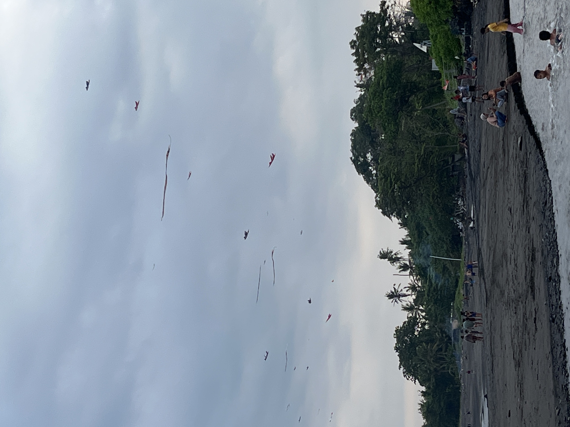 This image captures a wide shot of a beach in Blahbatuh, Indonesia, with a cloudy sky overhead. The beach itself is dark sand, leading to shallow, murky water. Several people are scattered across the beach and in the water. Some are walking, others are sitting or standing. In the sky, numerous kites are visible, shaped like airplanes and other objects, adding a dynamic element to the scene. Lush green trees and palm trees line the background, suggesting a tropical environment. The overall atmosphere appears relaxed and communal, with people enjoying the beach and kite-flying activities.
