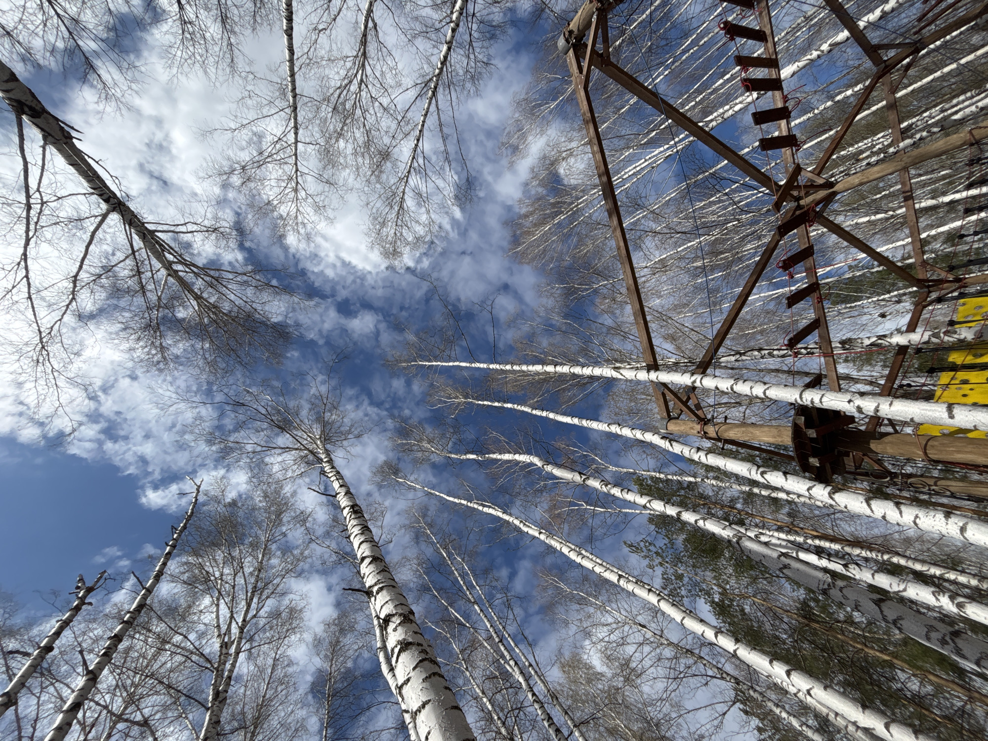 The image, taken from a low angle, depicts a view upwards into a partly cloudy blue sky framed by tall birch trees and a rusty metal structure. The birch trees, characteristic for their white bark marked with black stripes, are without leaves, suggesting a winter or early spring season. A network of bare branches extends across the sky. The rusty metal structure, comprised of beams and a rope ladder, is situated among the trees. The image suggests a location in a park or wooded area. It is identified as being taken in Chaikovsky, Russia.