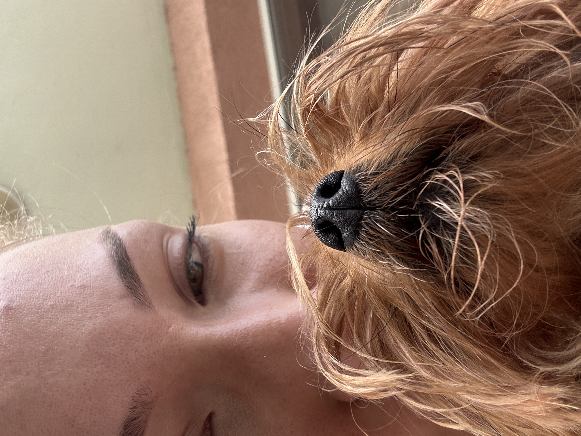 A close-up, partially obscured view shows a fair-skinned person’s face and the snout and fur of a dog. The person's face is pale, with visible pores, and an eyebrow is partially visible, along with an eye with brown/green irises and eyelashes. Most of the person's features are out of the frame. Overlapping the top of the person's head is the wet snout of a dog with a black nose and dark hair. The fur around the snout is reddish-brown with dark tips. The background is out of focus and light colored. The city of Burgas, Bulgaria, and the specific location within it are not identifiable from the image.