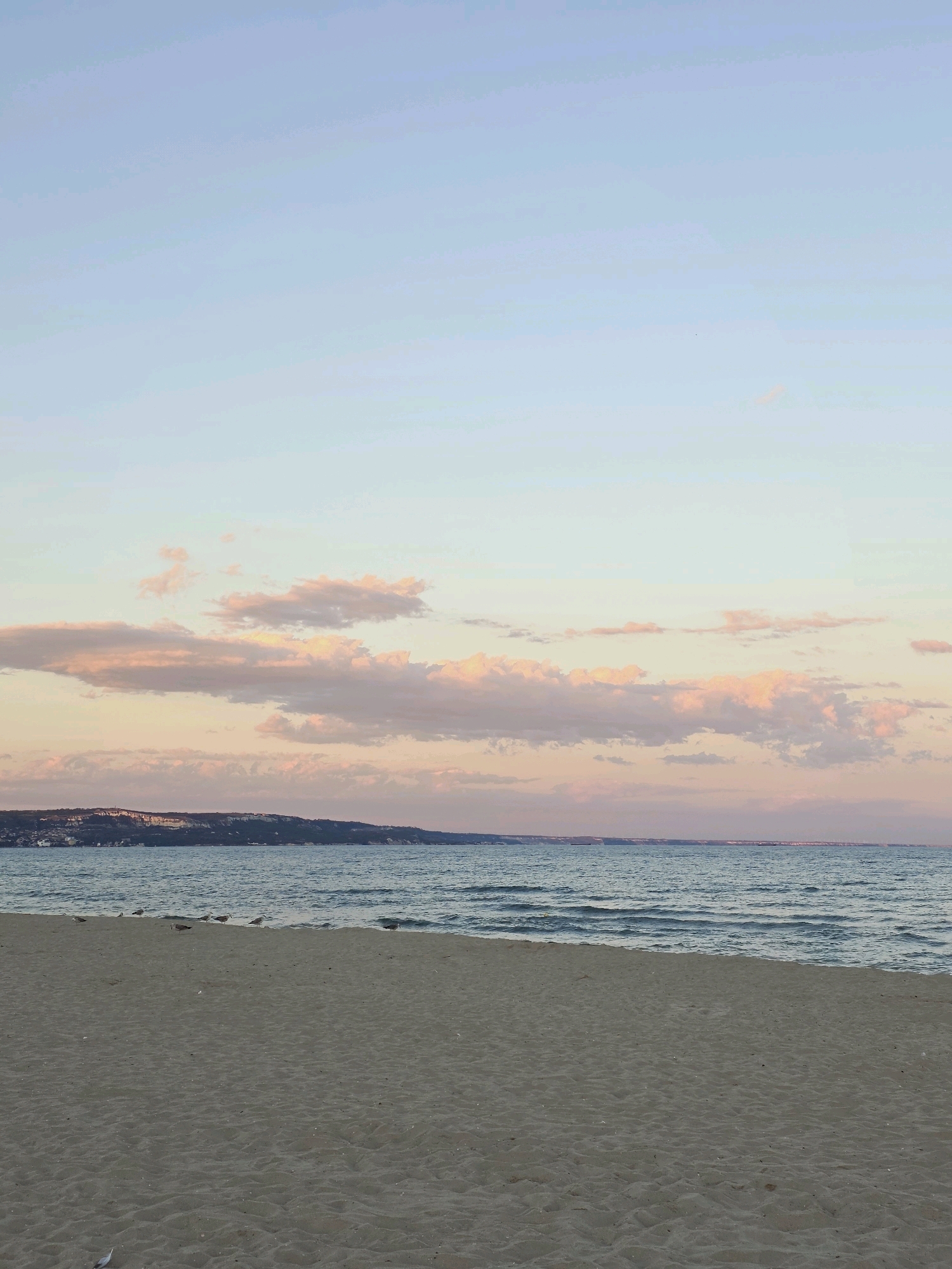 A wide, sandy beach stretches across the foreground of the image. The sand is a muted tan color and appears to be undisturbed by footprints. Several seagulls are scattered across the sand near the water's edge, some facing the ocean, others facing inland. The sea is a deep blue with small, gentle waves lapping at the shore. In the distance, a long, dark, hilly coastline is visible, dotted with buildings that appear to be part of a town or city. The sky above is a soft gradient of pale blue near the horizon, transitioning to a lighter, almost white-blue at the top of the frame. Scattered across the sky are wispy clouds tinged with shades of pink and orange, indicative of either sunrise or sunset. The overall atmosphere is serene and peaceful. This scene is likely the beach in Obrochishte, Bulgaria, given its coastal location and the characteristic hilly coastline visible in the distance.