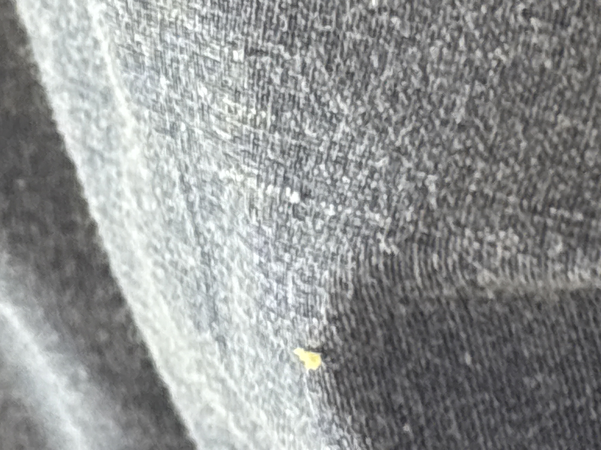 A close-up, slightly out-of-focus shot shows a tiny yellow object on a textured gray fabric. The object appears to be a small piece of material or debris, possibly a fleck of paint or a seed, with an irregular shape. The fabric underneath has a prominent weave pattern. The lighting creates subtle shadows and highlights on the textured surface. There are no discernible city, location, people, or actions present in the image.