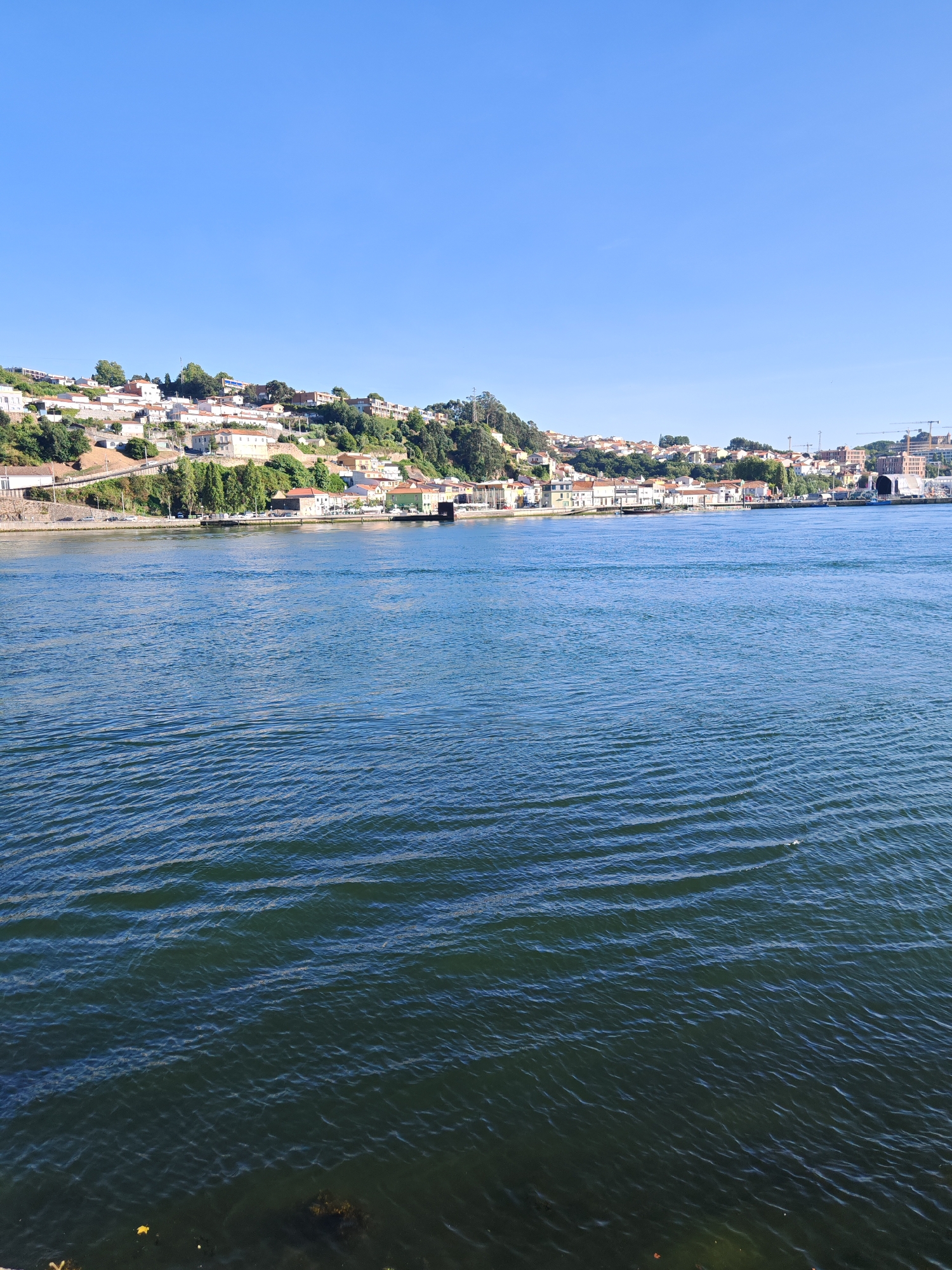 A wide shot captures a serene river flowing in the foreground, with gentle ripples on its surface. In the background, a picturesque town is nestled on a hillside overlooking the water. The town features a collection of buildings with red-tiled roofs, interspersed with lush green trees. The architecture suggests a European setting, possibly a coastal or riverside town.
The sky above is a clear, vibrant blue, indicating fair weather and likely daytime. The sun is casting a warm glow on the scene, highlighting the details of the town and the water. There are no people visible in the frame, nor any specific objects that stand out, allowing the viewer to focus on the natural beauty and the charming urban landscape.
The overall mood is peaceful and idyllic, conveying a sense of tranquility and scenic beauty. The location appears to be a tranquil spot, perhaps a popular viewpoint for observing the town and the river. The composition of the image, with the expansive water in the foreground leading the eye towards the detailed backdrop, creates a sense of depth and immersion. The image is free of any visible text.