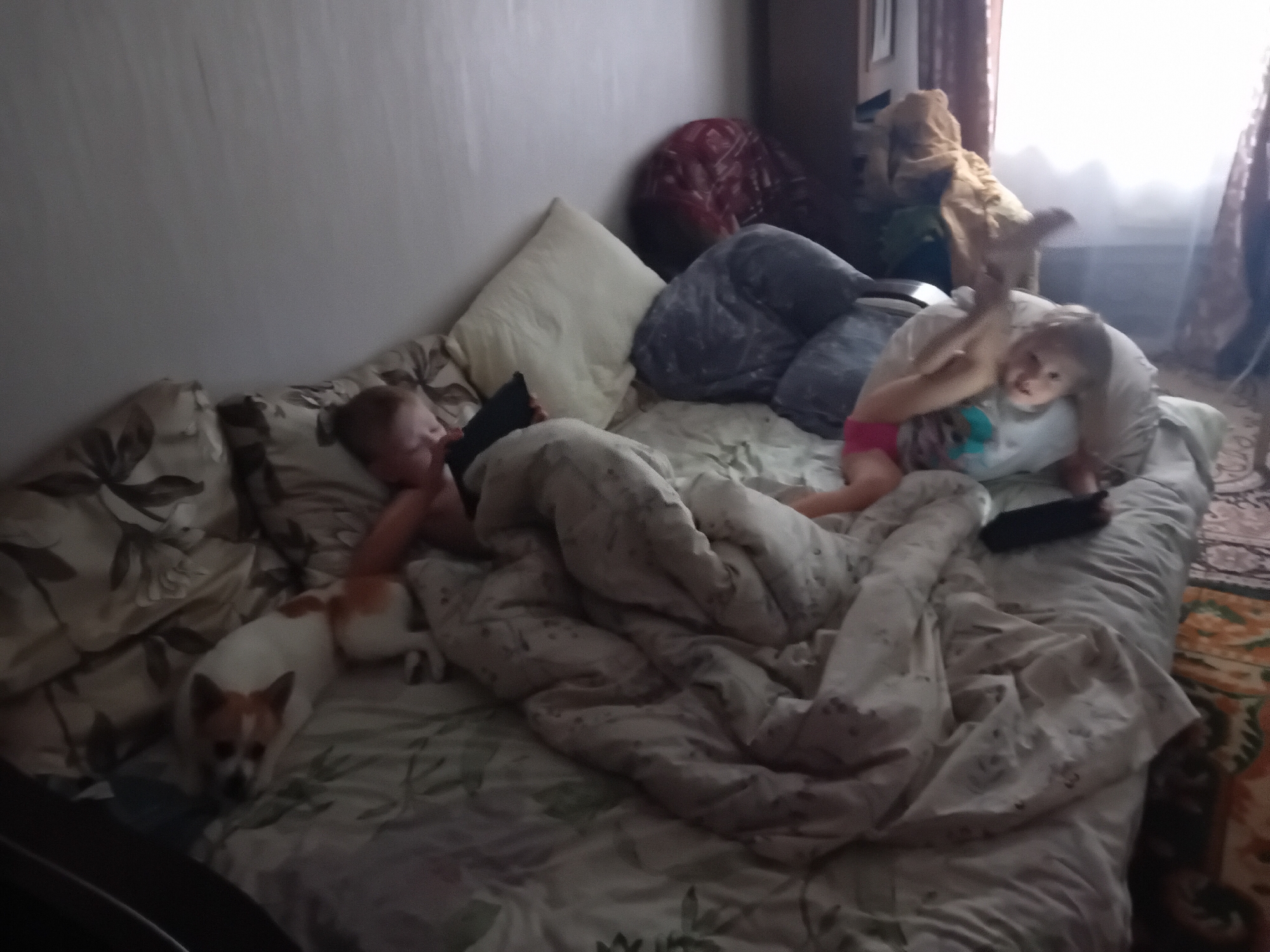 In a dimly lit room, two young children and a small dog are lying on a bed. The bed is covered with a light-colored comforter with a subtle floral pattern. To the left, a child with light brown hair is lying on their back, propped up by pillows. Next to them, a small white and brown dog is also lying down, facing the camera with its ears perked. To the right, another child, with blonde hair, is in a more active pose, sitting up and leaning on a pillow. They are wearing a light blue shirt and pink shorts. Their legs are extended in the air. In the background, various pillows and blankets are piled on the bed. A window with sheer curtains is visible to the far right, letting in a soft light. The overall environment suggests a relaxed, domestic setting, possibly a bedroom or living room. The specific location in Chuhuiv, Ukraine, cannot be determined from the visual information in the image.
