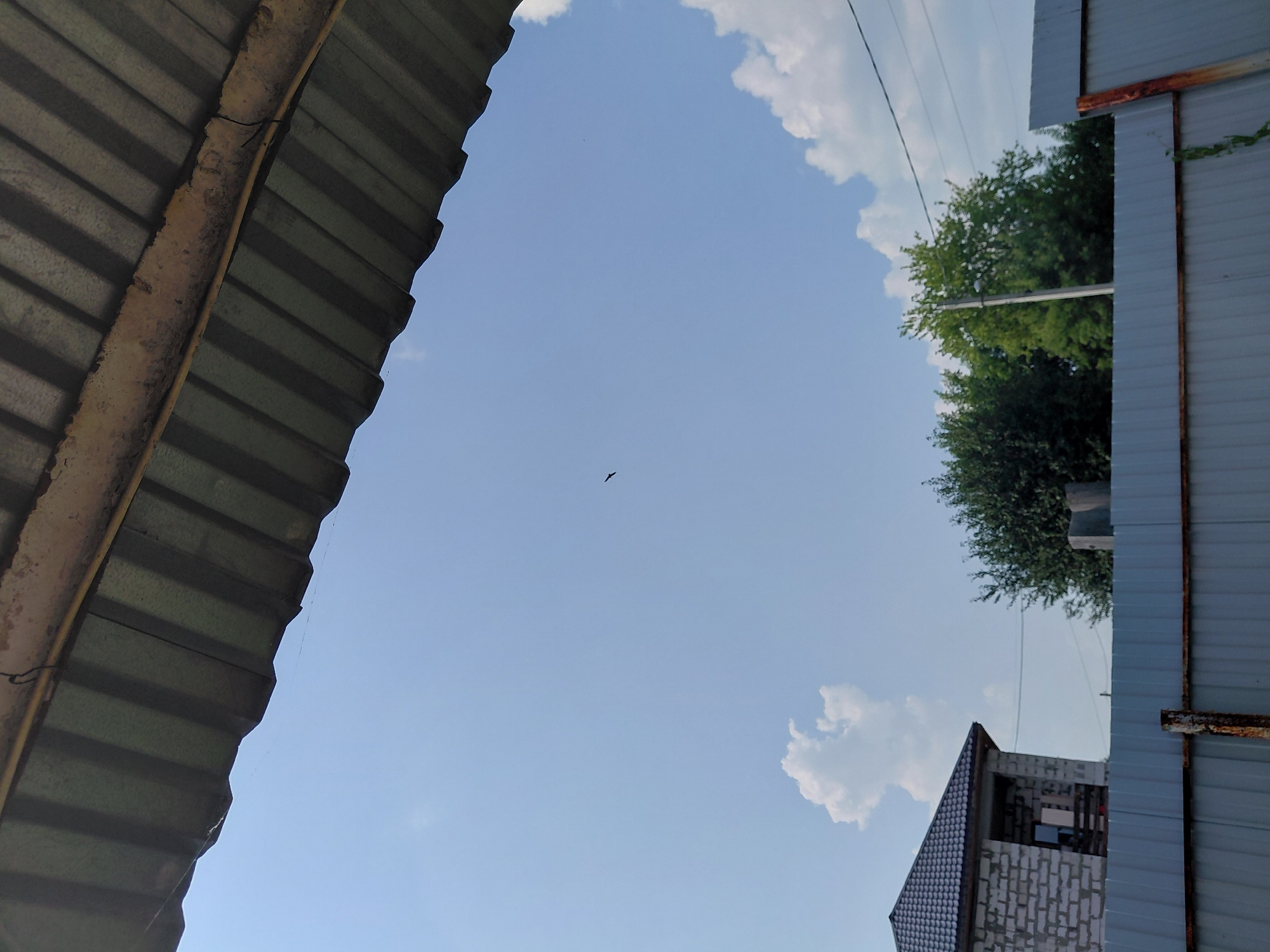 The image shows an outdoor scene with a clear blue sky. In the upper part of the frame, a corrugated metal roof overhangs the view. A single bird is visible in flight against the sky. Below the sky, there is a partially constructed building made of white brick, with a dark roof and some windows. To the right of the building are several green trees. A light-colored metal fence runs horizontally across the lower portion of the image. The overall impression is of a suburban or rural setting, possibly under construction. There are no people visible in the image. The location is Novosibirsk, Russia.