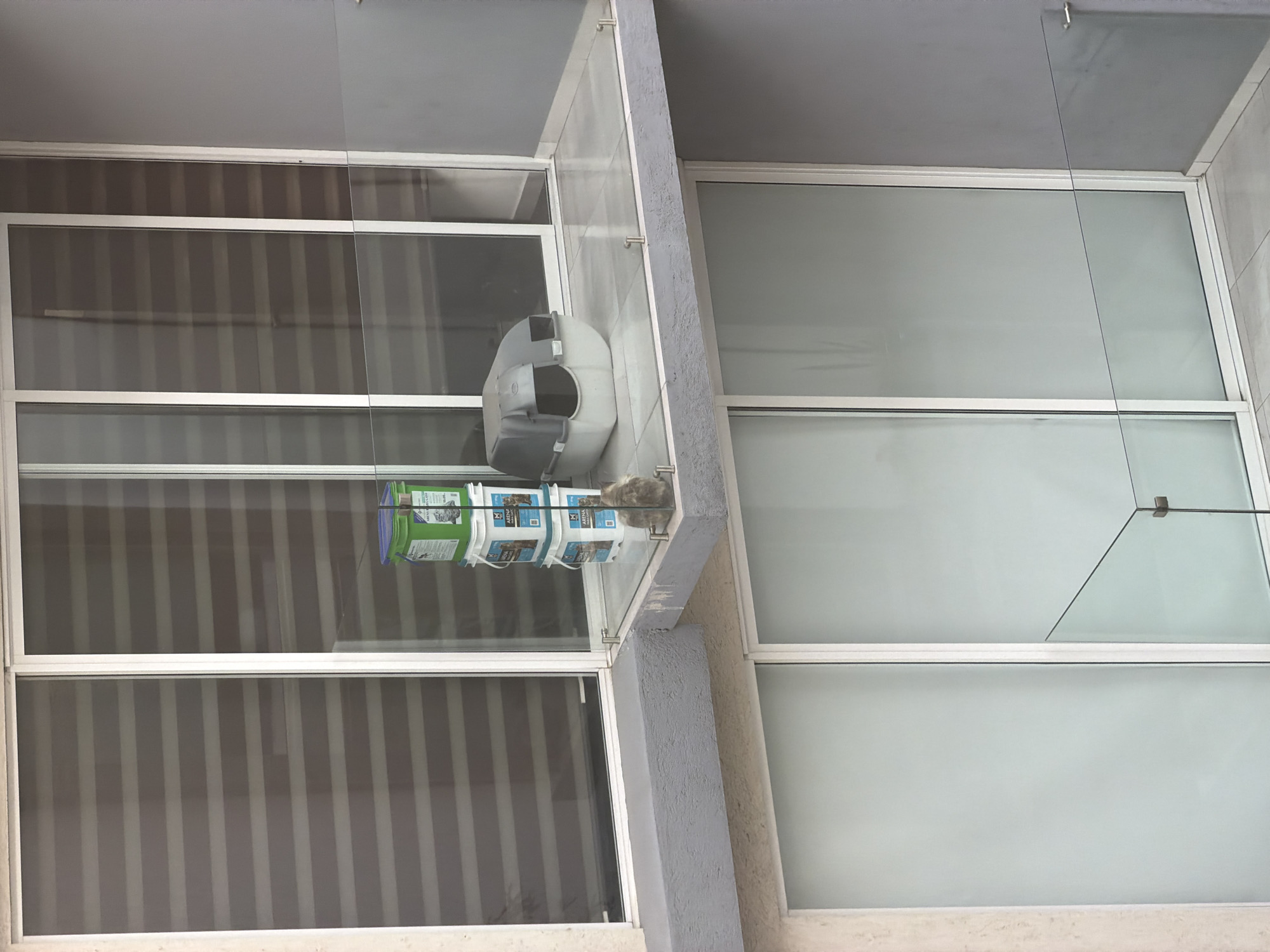 This image depicts an exterior view of a modern building in San Andrés Cholula, Mexico, likely an apartment or office complex. The architecture features large windows with clean white frames, behind which horizontal blinds or shutters are visible, suggesting interior spaces. A prominent concrete ledge or balcony extends from the building, bordered by a clear glass balustrade secured with metal fixtures.
On this ledge, several items are arranged. A distinctive grey and white plastic object, possibly a pet house or a custom-made shelter with an arched opening, is positioned near the center. To its left, a stack of plastic buckets is visible; a green bucket rests on top of several white ones. Text resembling "ARRNA" or a similar brand, along with graphical depictions of animals, is visible on the white buckets, indicating they likely contain pet food. Curled up peacefully on the ledge, nestled between the plastic shelter and the buckets, is a small furry animal, most likely a cat, resting.
The scene appears to be set during the daytime, with ample natural light illuminating the building and its features. No people are visible, and the overall atmosphere conveyed is calm and still. The image captures a practical and somewhat endearing use of an outdoor building space, accommodating an animal's comfort and care within an urban environment.
