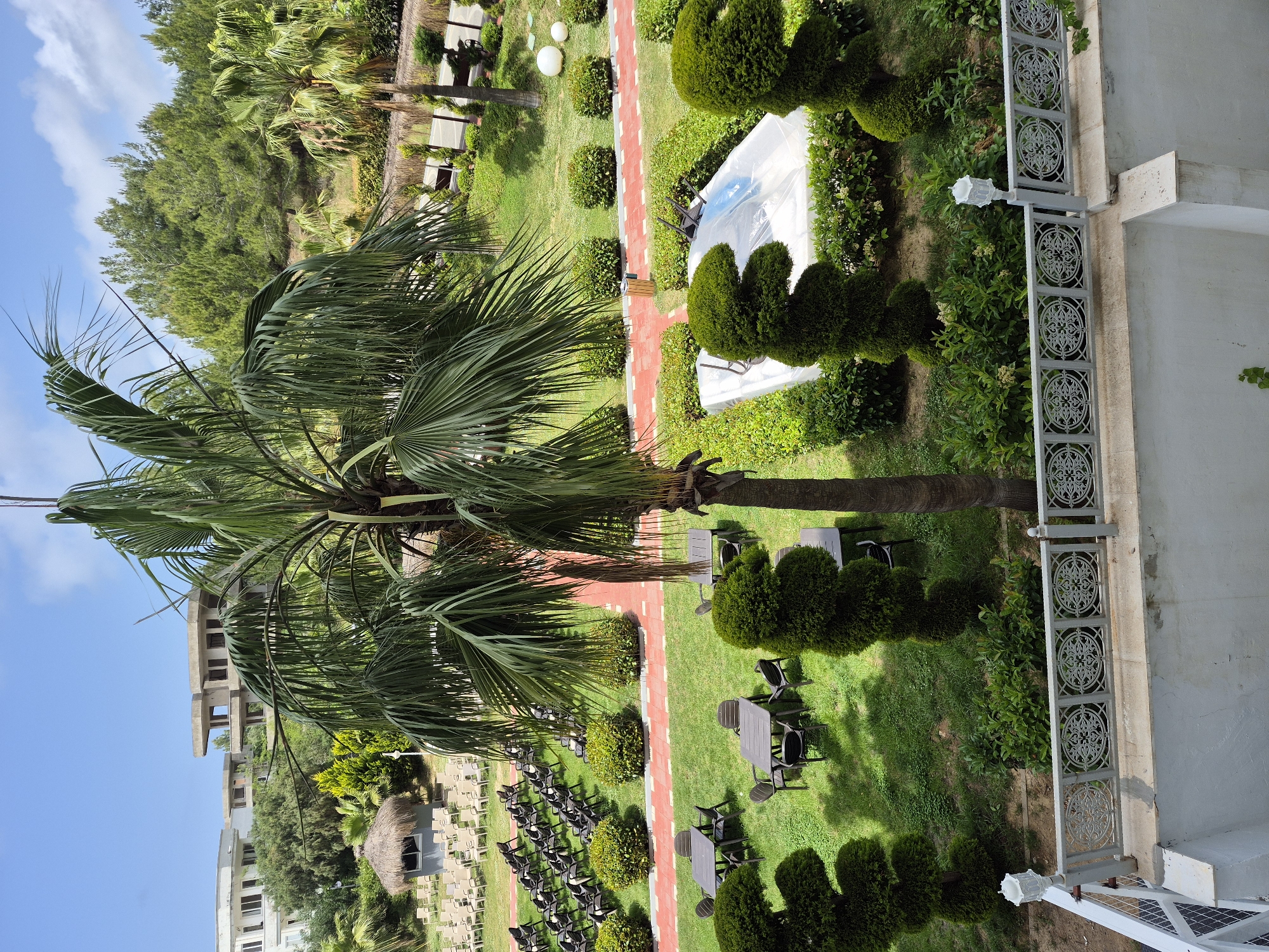 The image depicts a garden scene in Alanya, Turkey, as evidenced by the style of landscaping and architecture. The scene is captured from an elevated perspective, potentially a balcony.
The main elements are a palm tree in the foreground, manicured lawns with small, round bushes, and a red brick pathway. Several tables and chairs are arranged on the grass, suggesting an outdoor dining or relaxation area.
In the background, there are buildings, including what appear to be resort or hotel structures. A small, thatched-roof structure is also visible, adding to the resort-like atmosphere. There is a white tarp covering what appears to be garden furniture.
The environment is sunny, with a clear blue sky visible in the upper left corner. The overall impression is that of a well-maintained and pleasant outdoor space in a tourist destination. A decorative fence and light fixture are visible on the right side, suggesting the proximity of a building or structure.