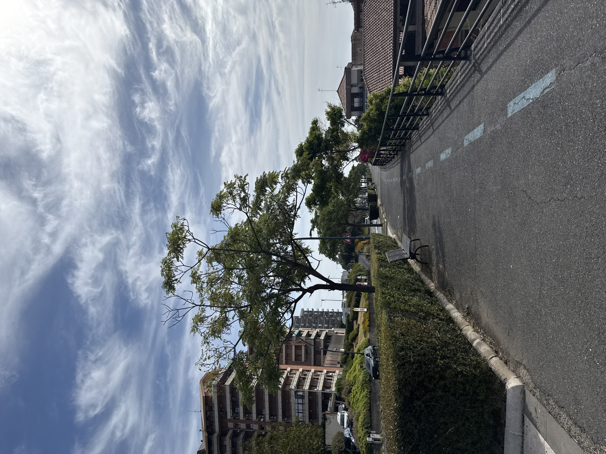 The image shows an urban street scene. On the right side of the street, there is a black metal railing separating the sidewalk from buildings with red-tiled roofs. The sidewalk, paved with asphalt, is marked with dashed blue lines. A bench sits along the edge of the sidewalk, bordered by a green hedge. On the left side of the image, tall apartment buildings are visible, with cars parked along the street. A large tree with green foliage stands prominently in the foreground. The sky above is filled with streaky clouds. The location is likely Unknown, Unknown.