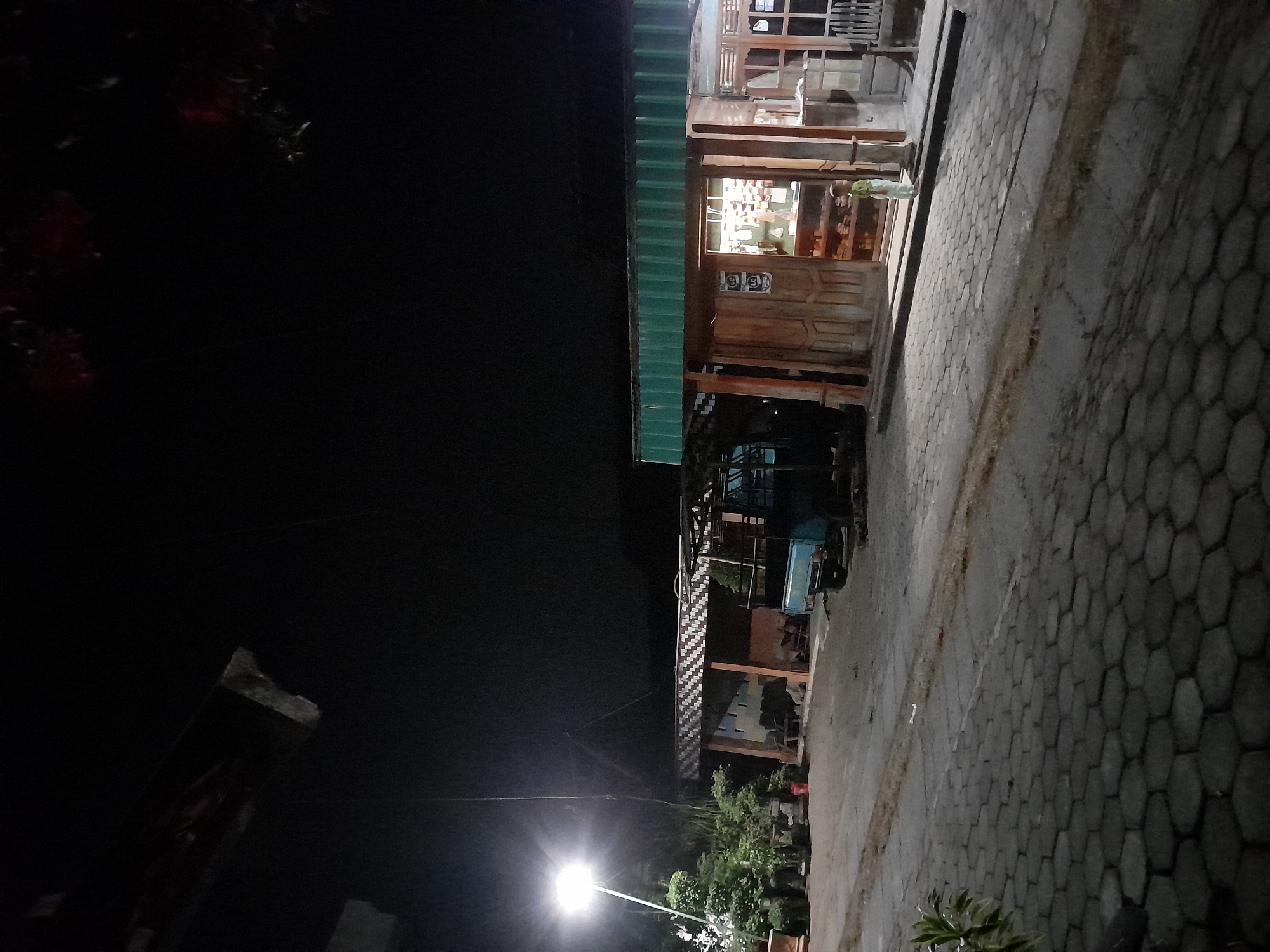 This is a night photograph taken in Pulokulon, Indonesia. The scene depicts a street with a hexagonal-patterned pavement in the foreground. To the right, there is a small, open-fronted wooden shop illuminated from within, displaying shelves of goods. A young child, wearing a light-colored shirt and pants, stands on the pavement in front of the shop. Behind the shop, a turquoise pickup truck is parked. To the left, a tall street lamp casts a bright light on a collection of potted plants and trees. The background is dark, indicating it is nighttime, with some dark foliage visible at the top right.